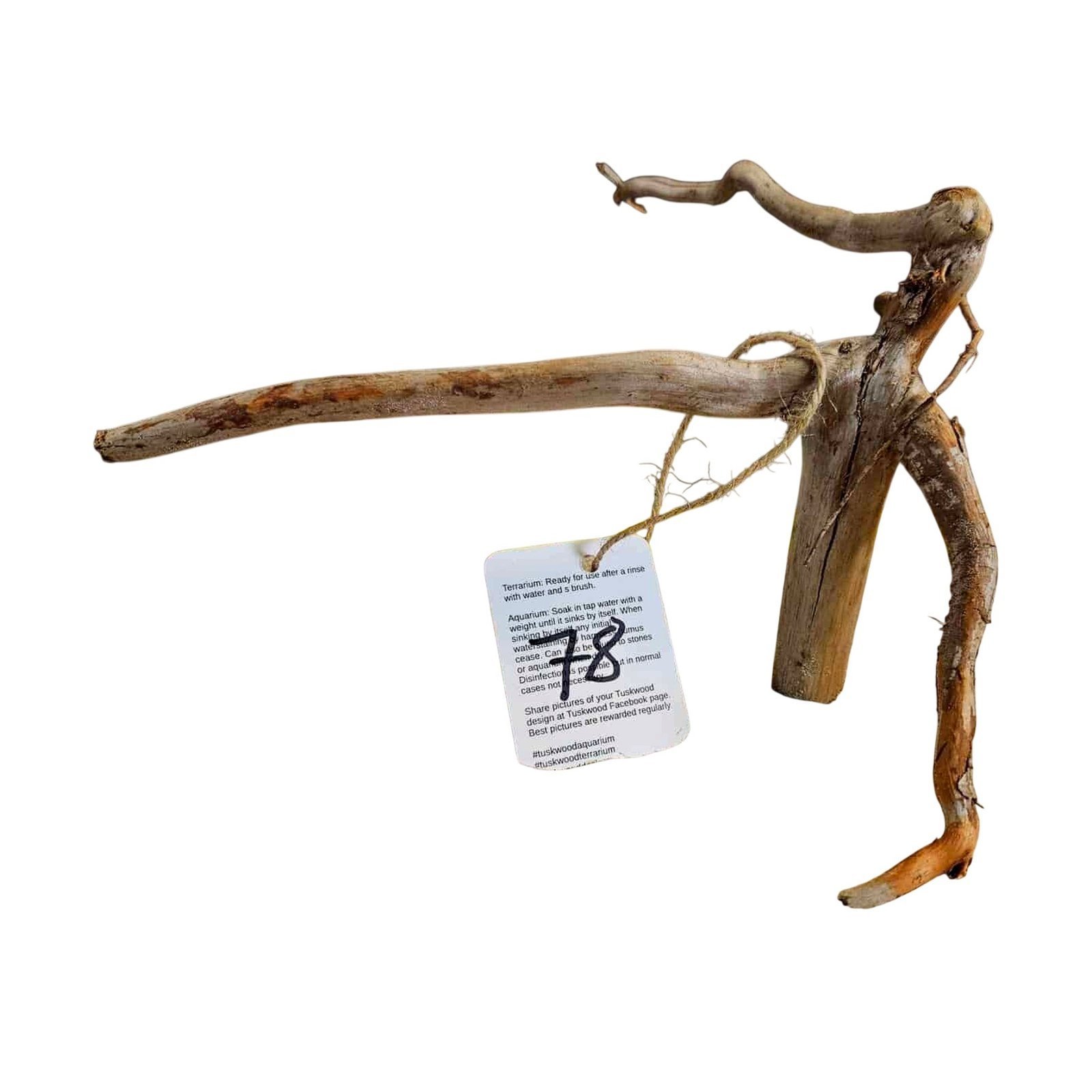 Tuskwood Aquarienholz WYSIWYG Echtes Bogwood Einzigartig 24 cm Nr. 78