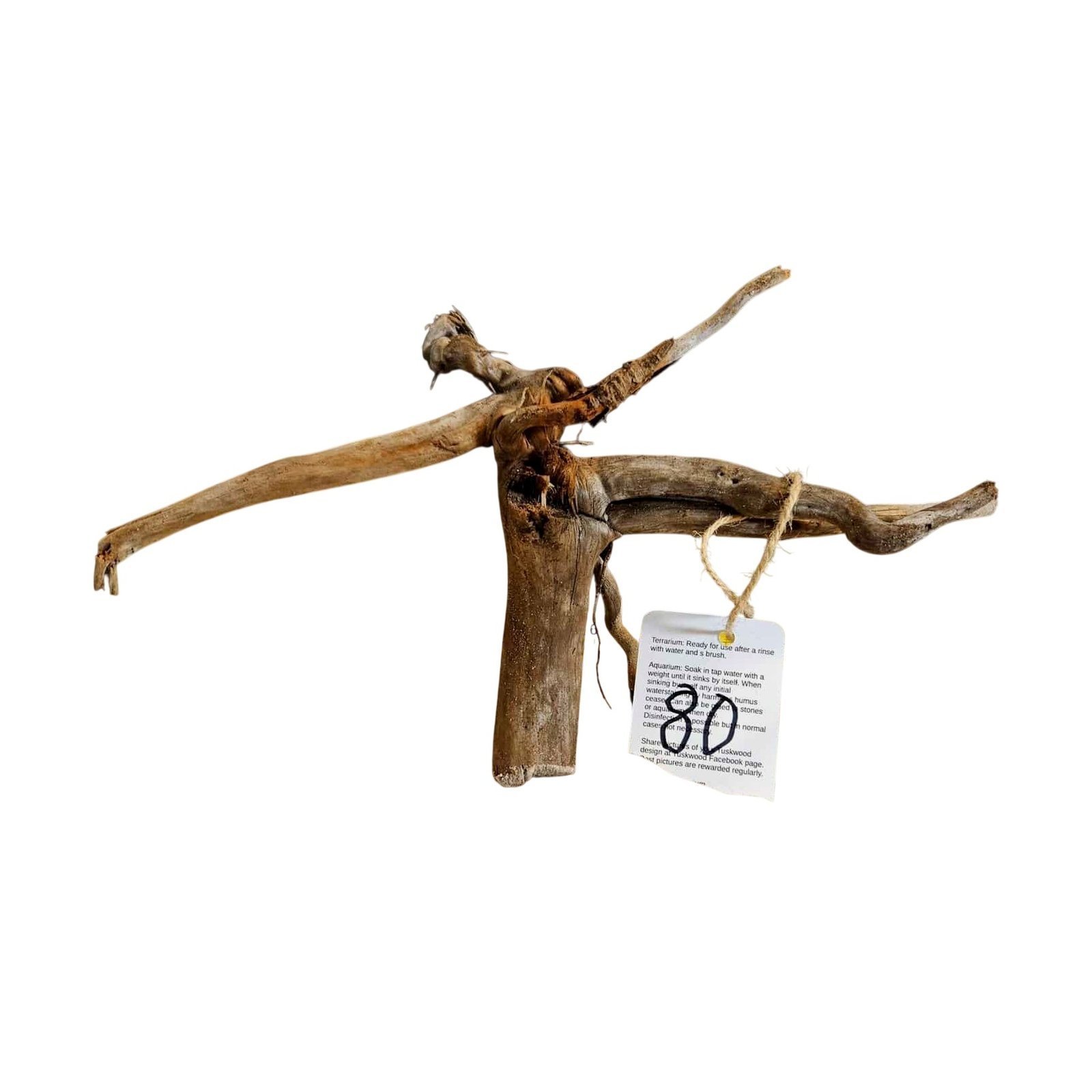 Tuskwood Aquarienholz WYSIWYG Echtes Bogwood Einzigartig 30 cm Nr. 80