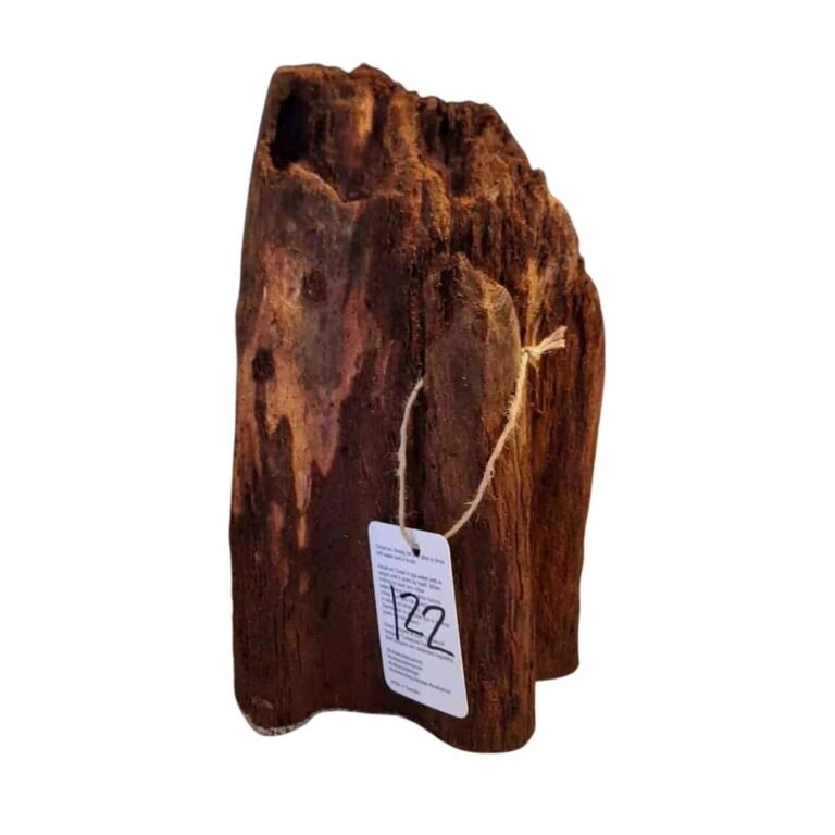 Sold Tuskwood aquarium root Nr122, white-background image, approx. 33 cm