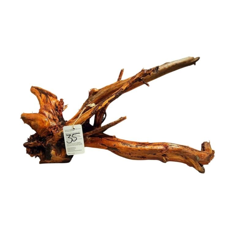 Sold Tuskwood aquarium root nr35A, white-background image, approx. 70 cm