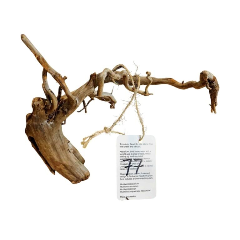 Sold Tuskwood aquarium root nr77, white-background image, approx. 30 cm