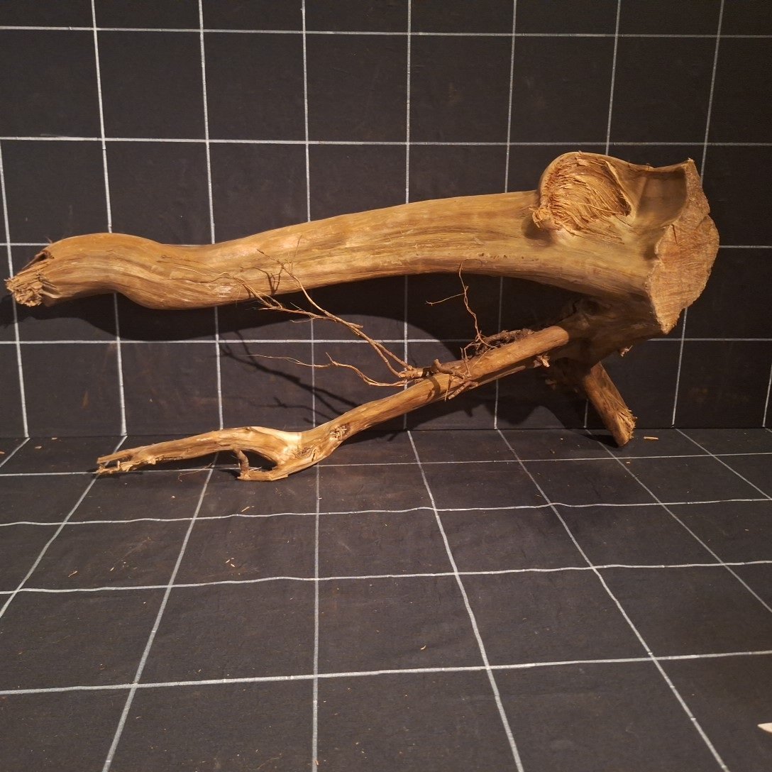 Tuskwood Akvarierot WYSIWYG Äkta Bogwood Unik 61 cm P332623