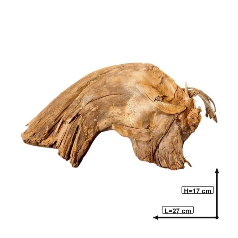 Sold Tuskwood aquarium root P152619, white-background image, approx. 27 cm