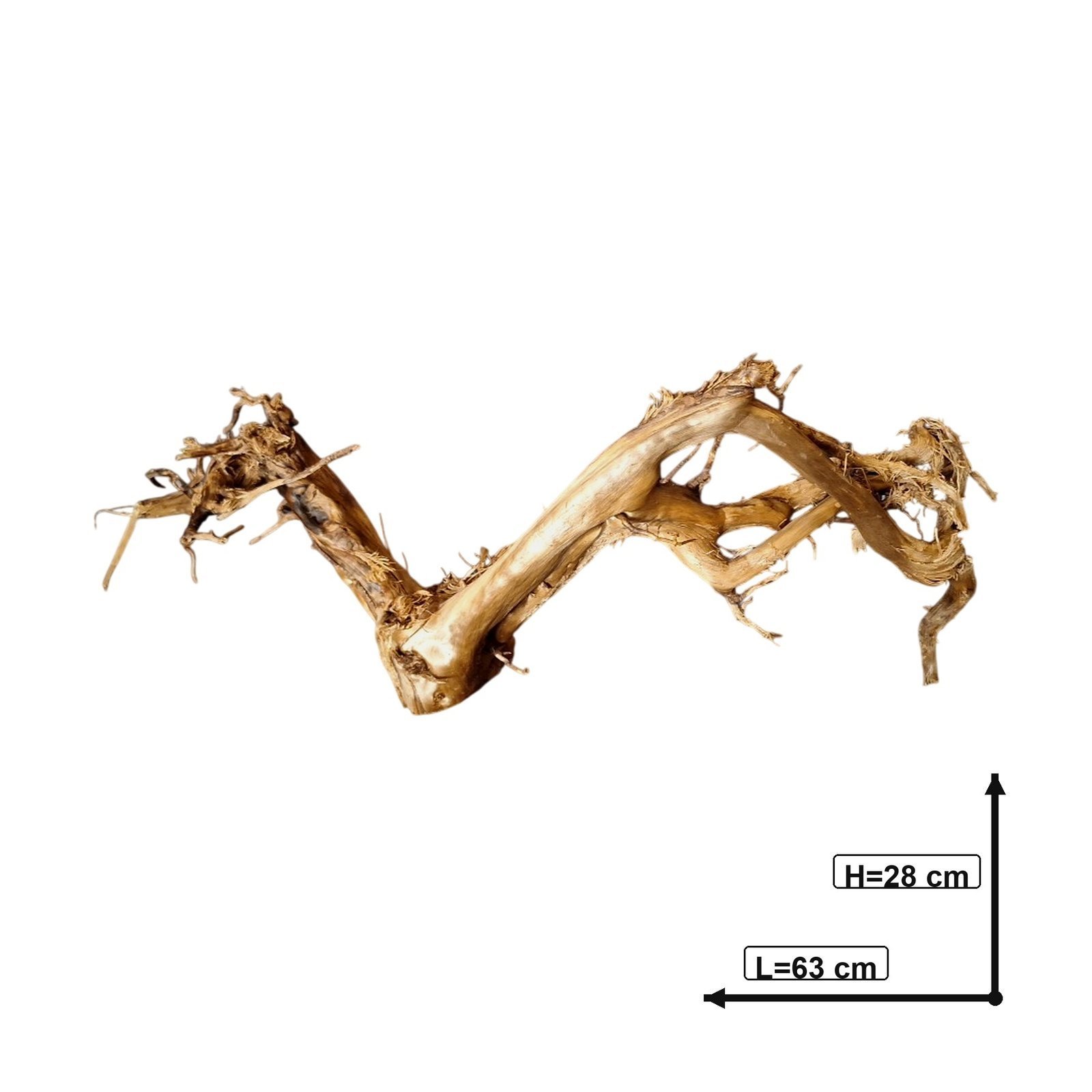 Mitoitettu kuva Tuskwoodin aidosta bogwood-puusta tehdystä akvaariojuuresta, 63 cm, P272619.