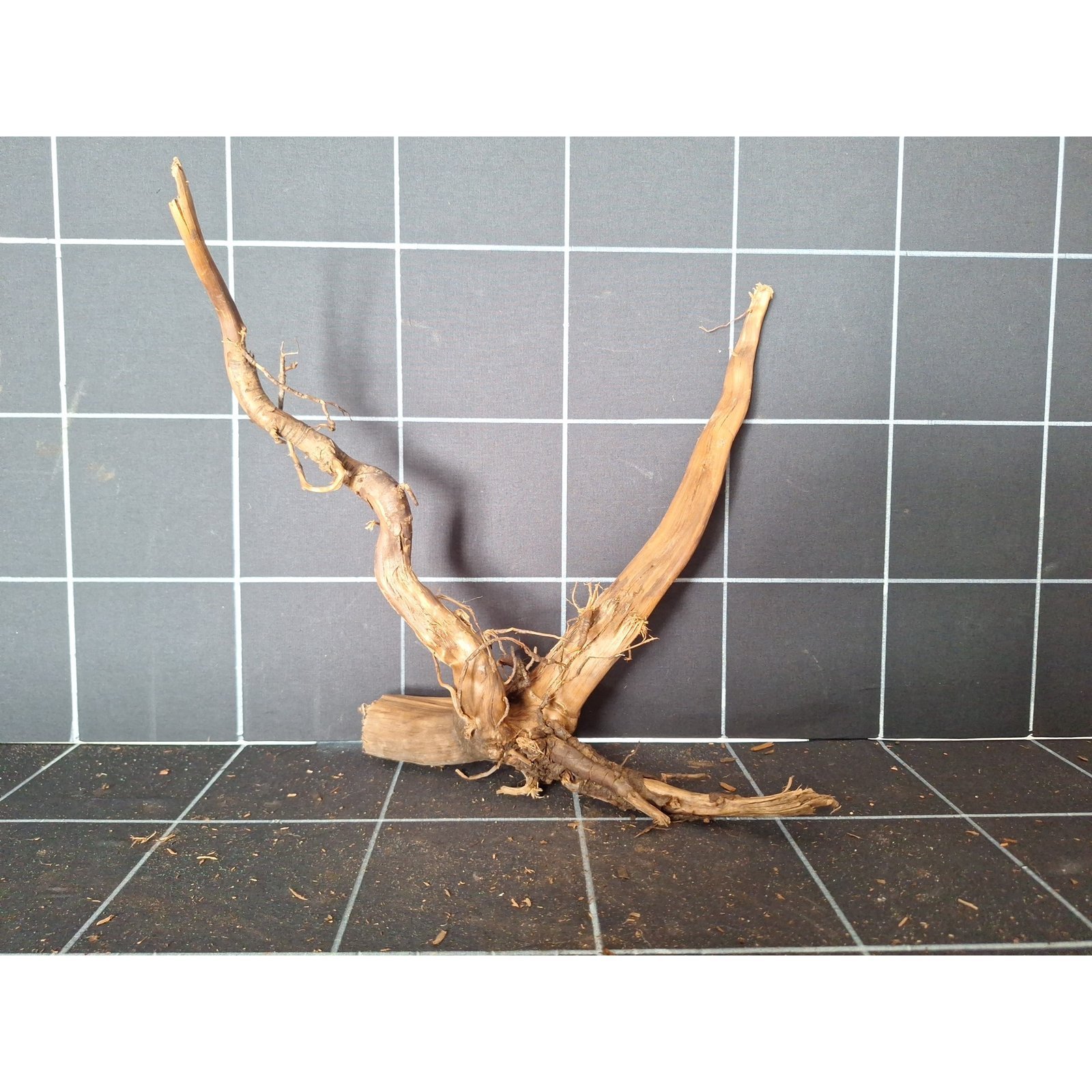 Tuskwood akvarierot i äkta bogwood, 32 cm, P072618
