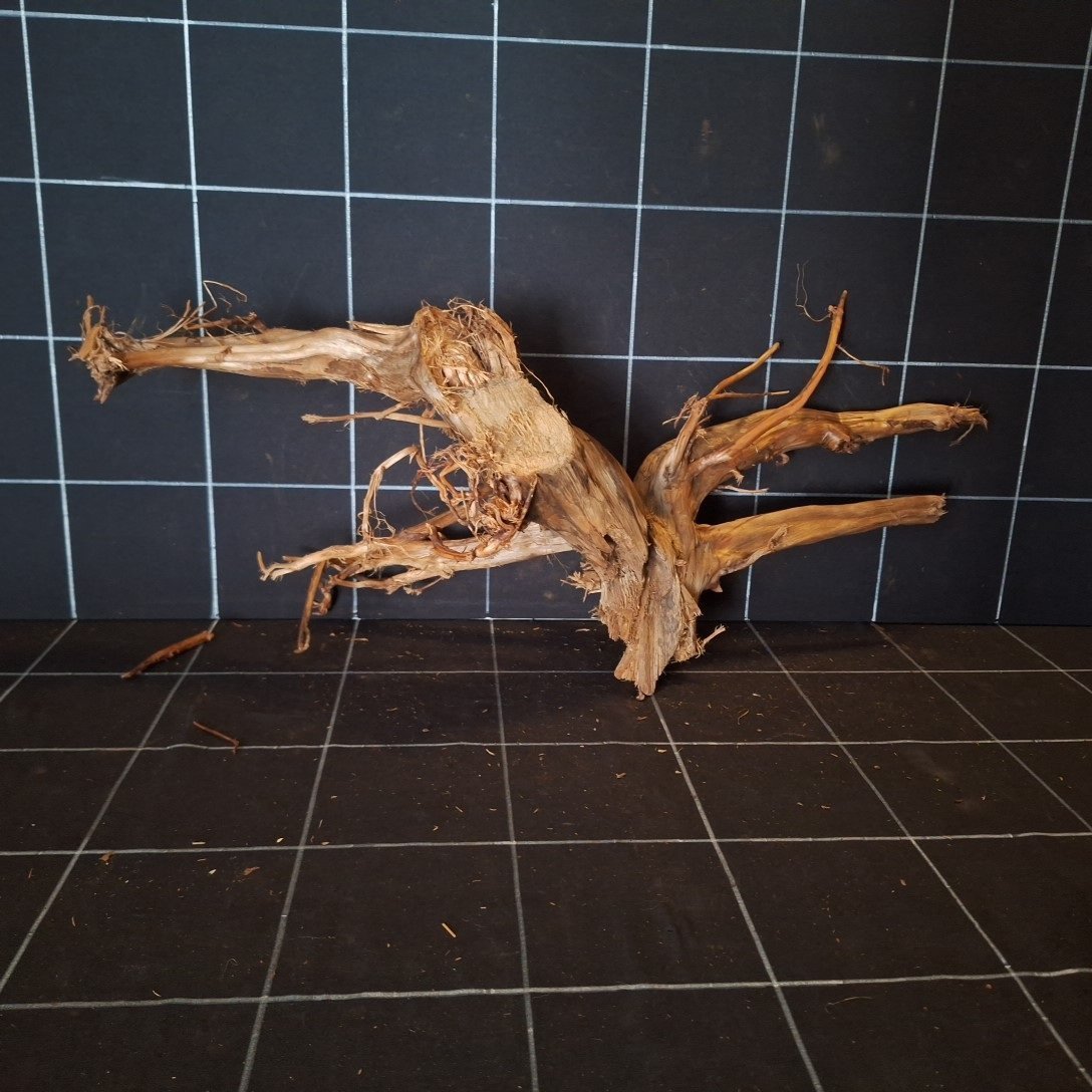 Tuskwood Aquariumwortel WYSIWYG Echt veenhout Uniek 57 cm P052620