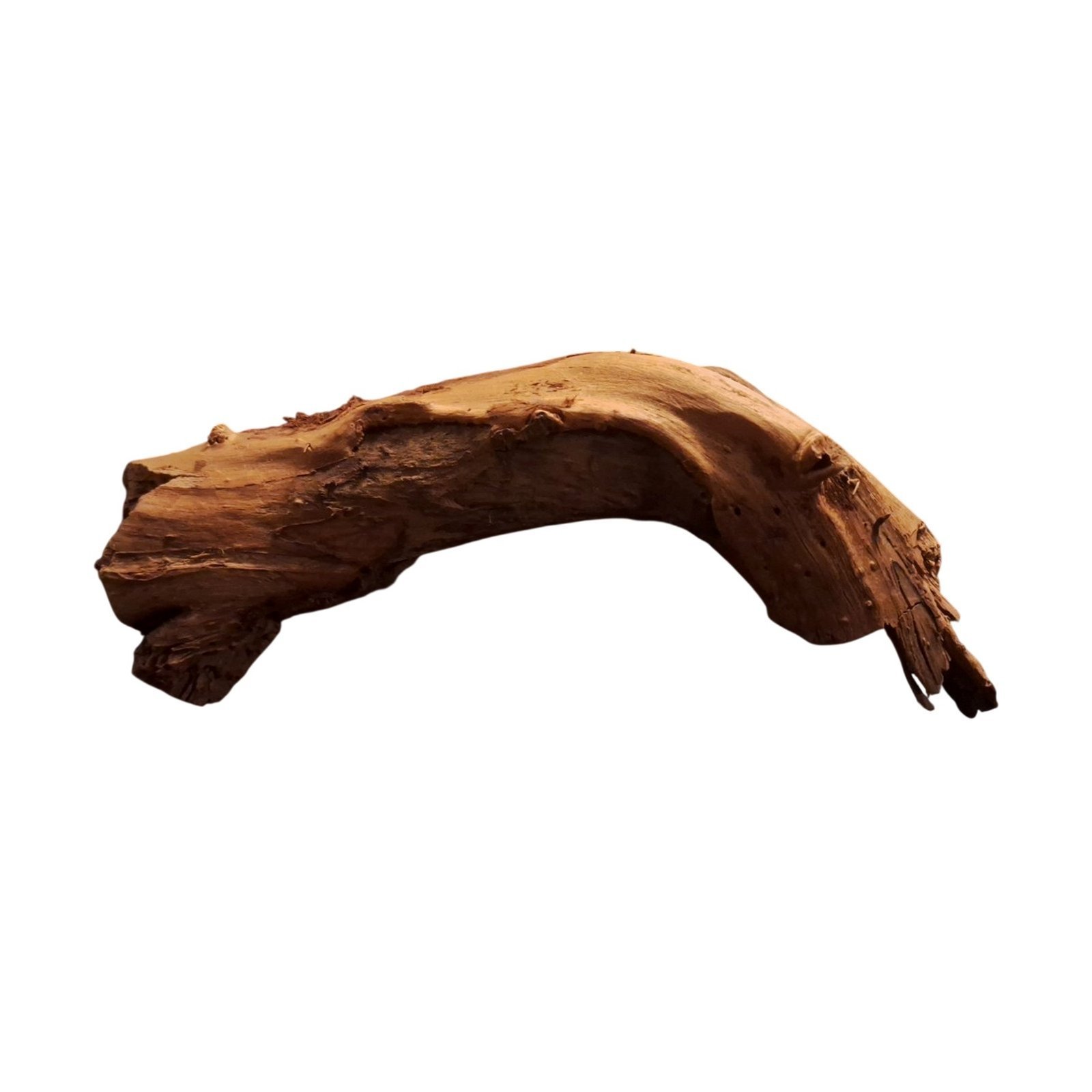 Tuskwood-akvaariojuuri WYSIWYG, aitoa bogwoodia, ainutlaatuinen 30 cm P122623