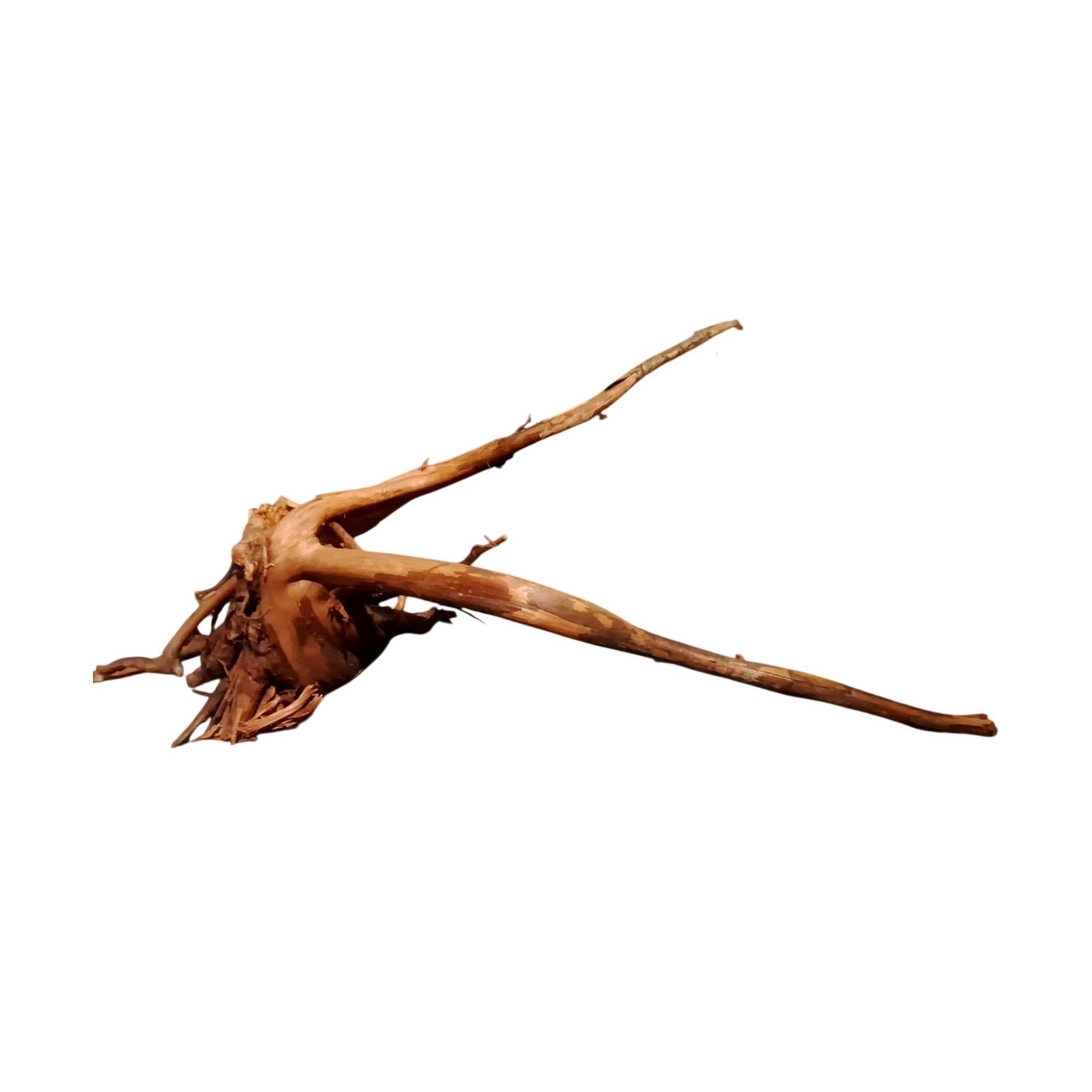 Tuskwood Aquariumwortel WYSIWYG Echt veenhout Uniek 65 cm P282623