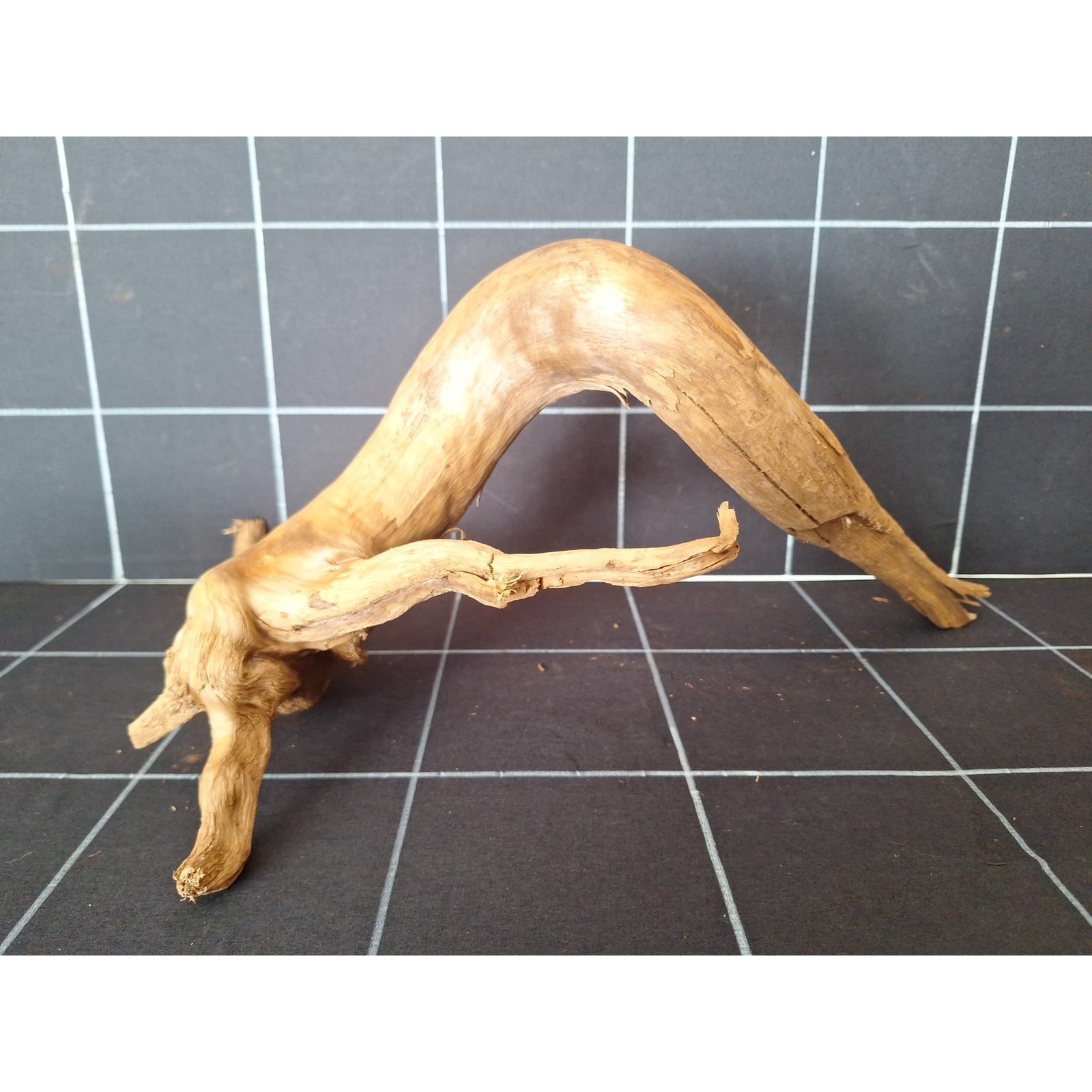 Tuskwood akvarierot i äkta bogwood, 40 cm, P162618