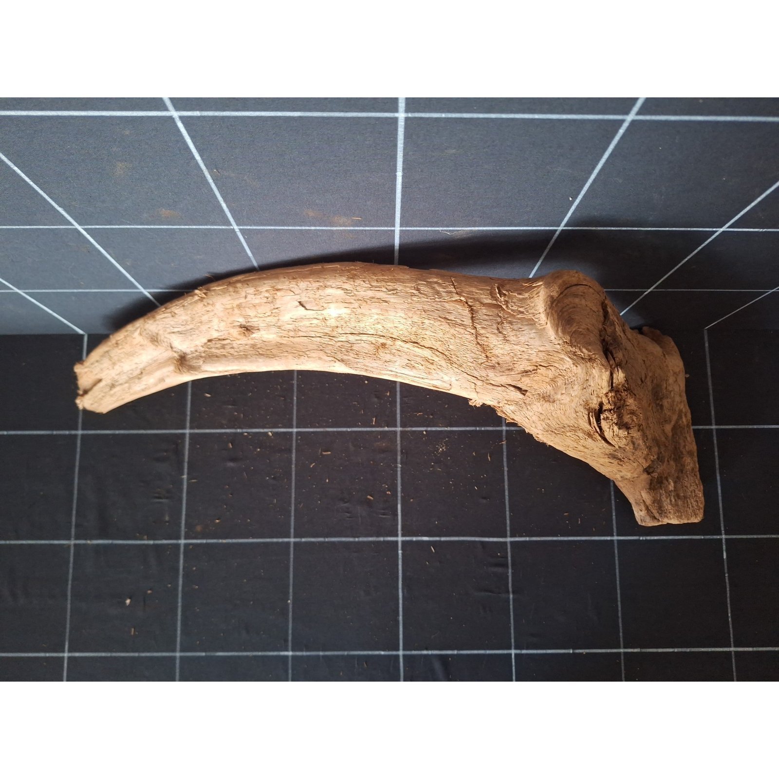 Tuskwood akvarierot i äkta bogwood, 58 cm, P182618