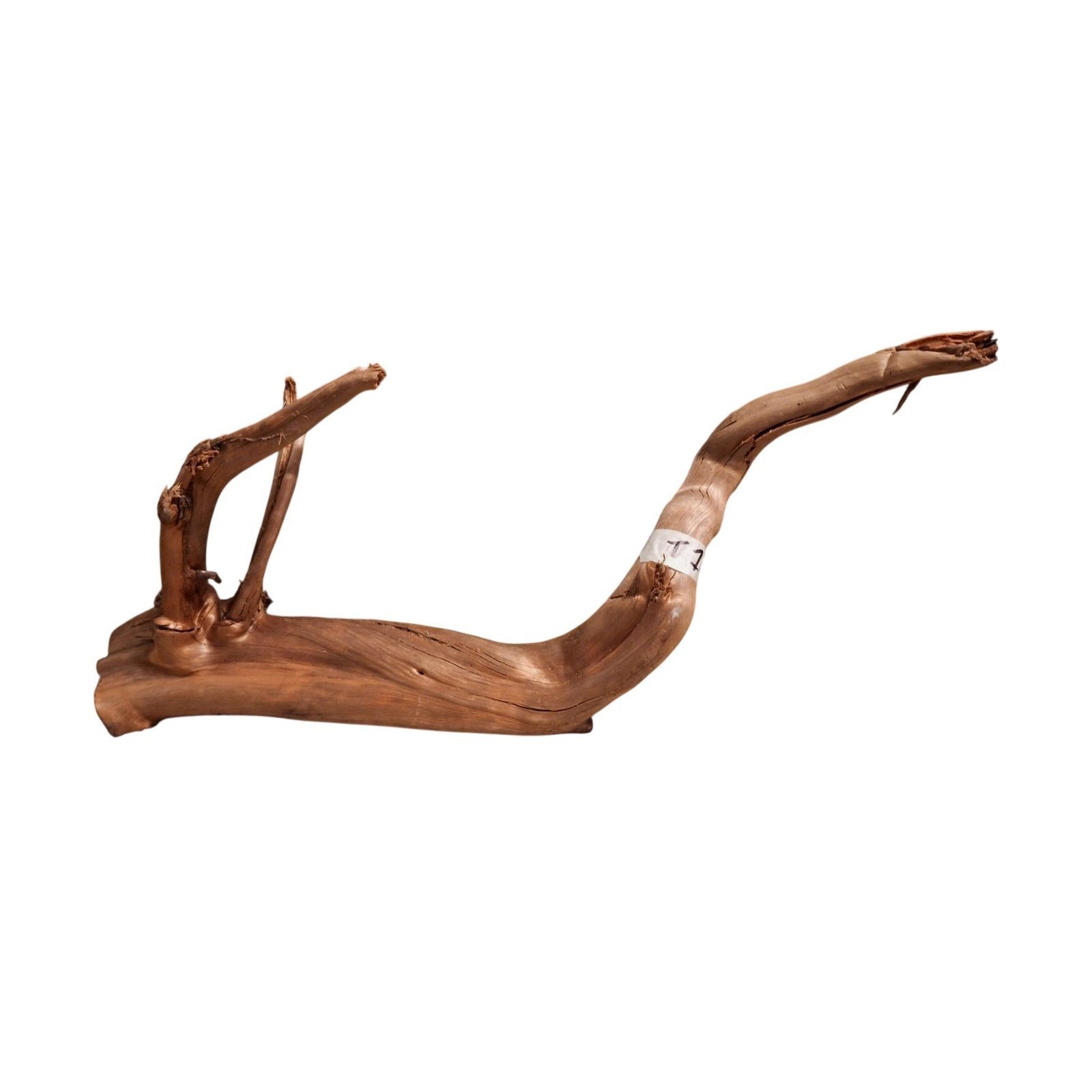 Tuskwood Aquarium-Wurzel WYSIWYG Echtes Bogwood Einzigartig 55 cm NrT1
