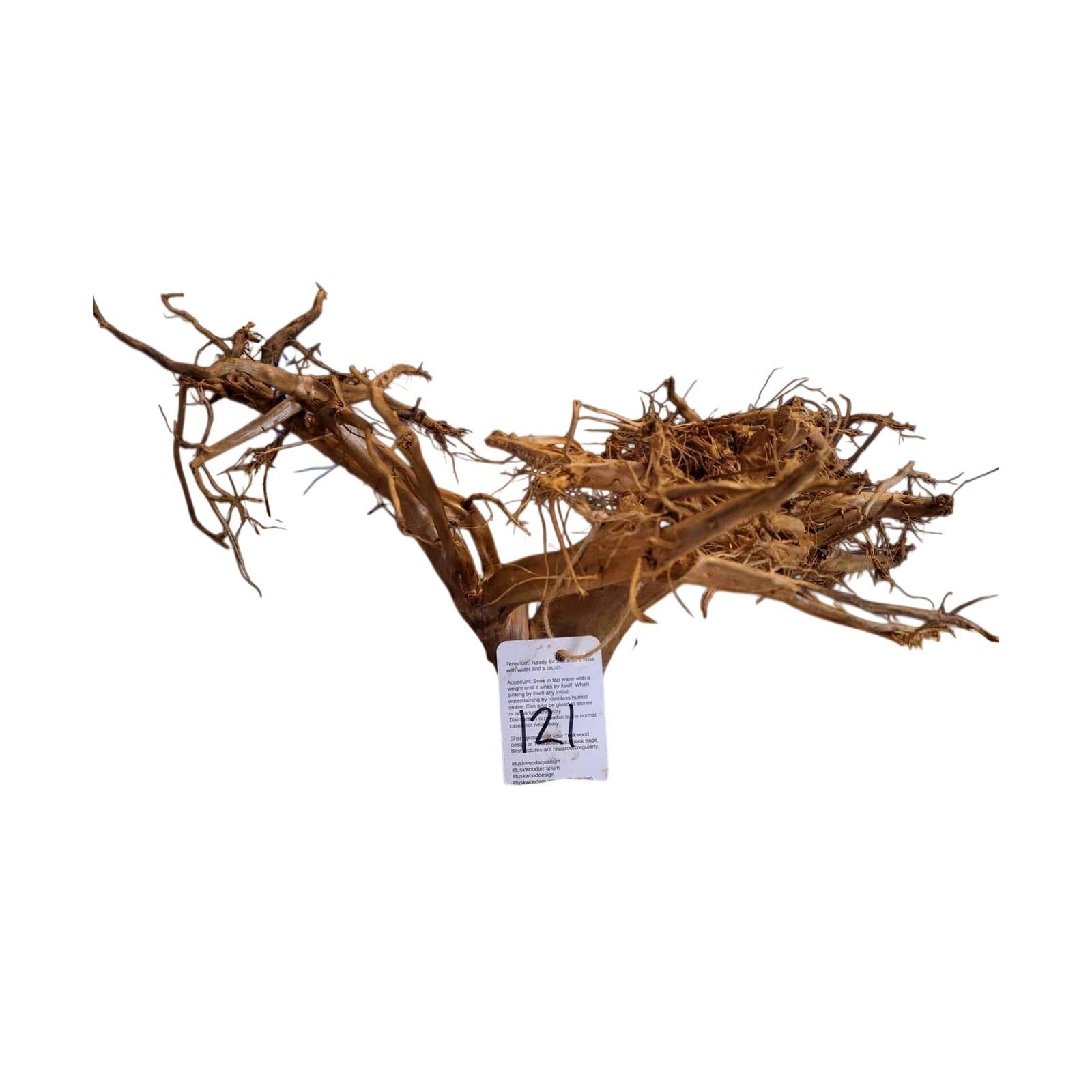 Tuskwood Aquarienwurzel WYSIWYG Echtes Bogwood Einzigartig 40 cm Nr. 121AA