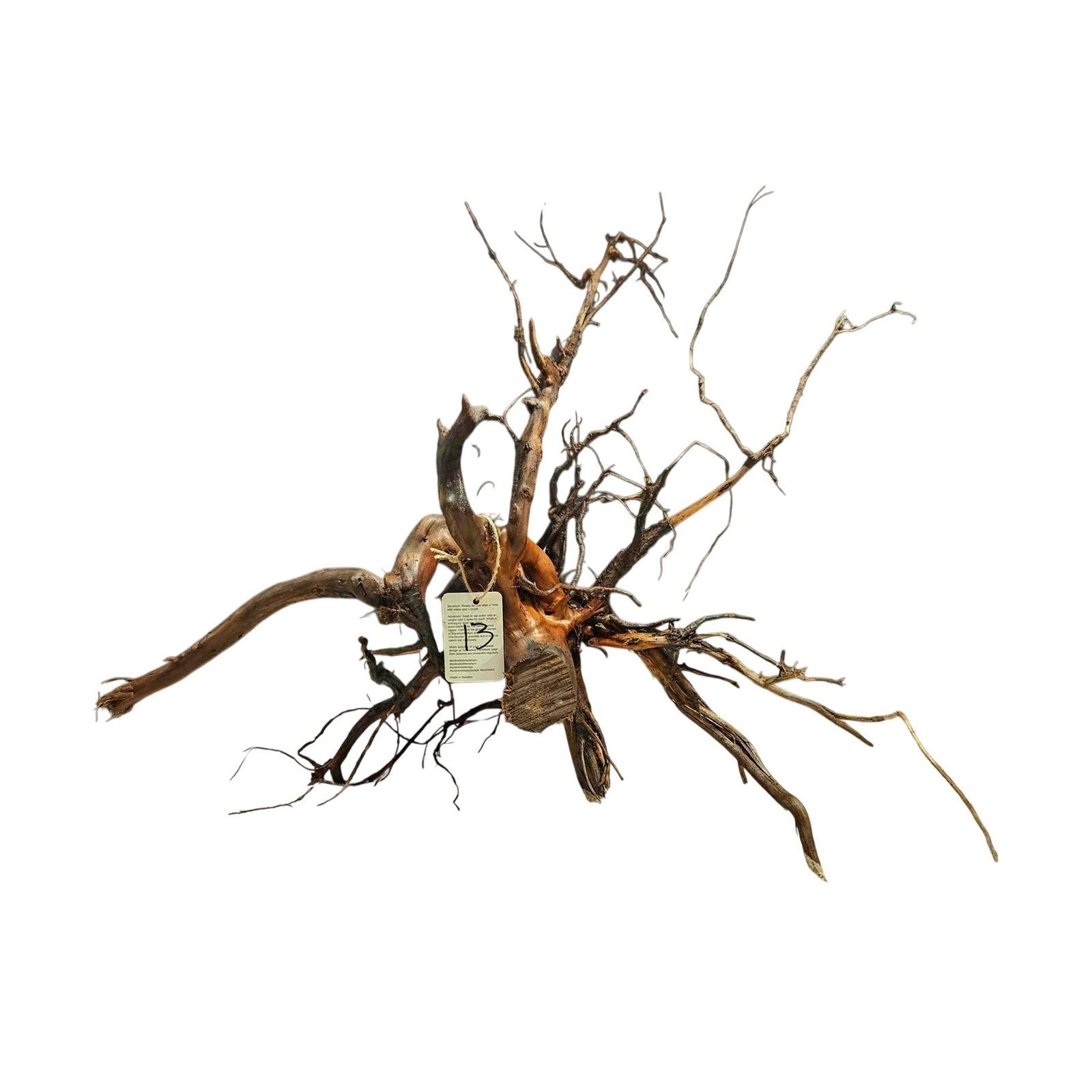 Tuskwood Aquarium-Wurzel WYSIWYG Echtes Bogwood Einzigartig 60 cm Nr. 13AA