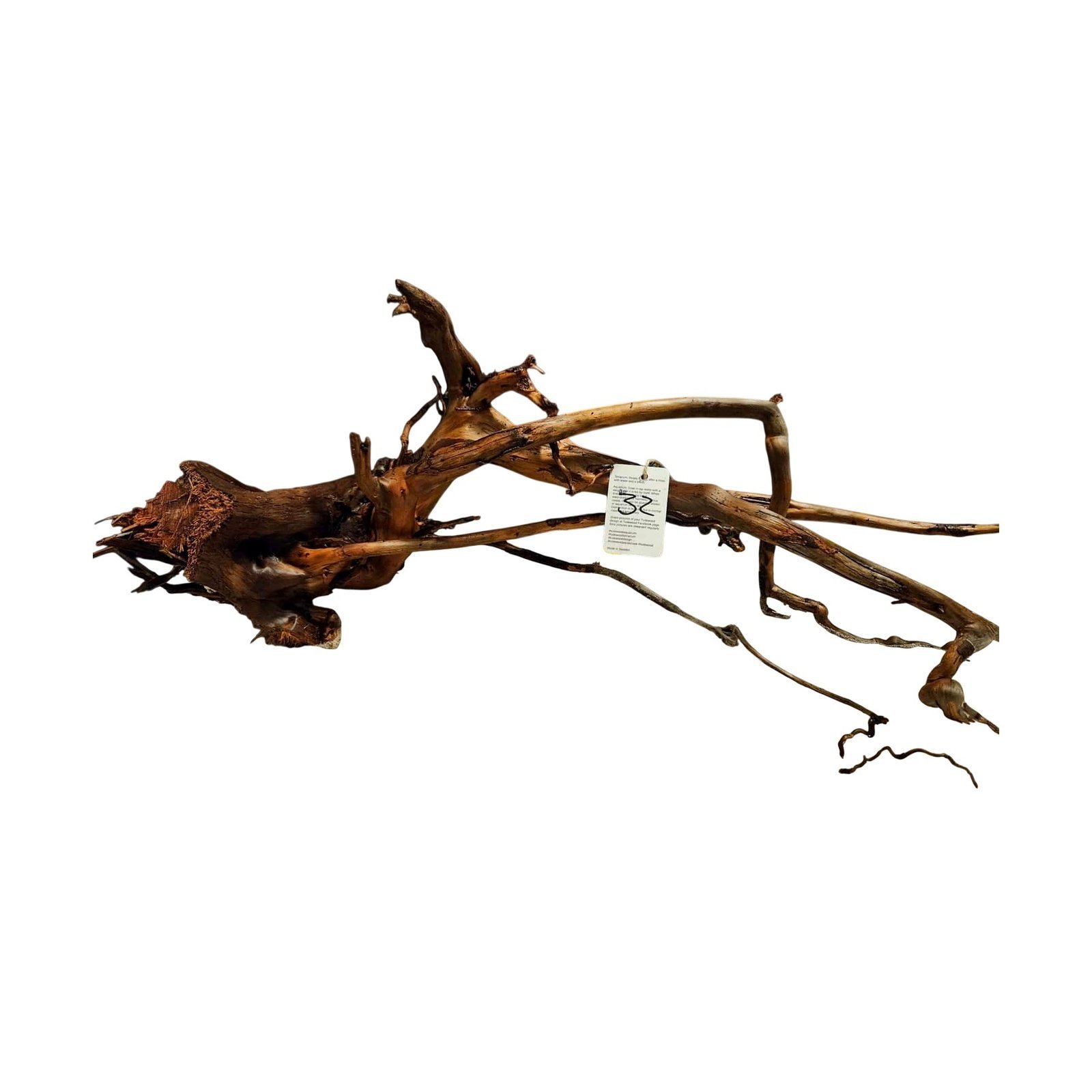 Tuskwood Aquarium-Wurzel WYSIWYG Echtes Bogwood Einzigartig 80 cm Nr. 32A