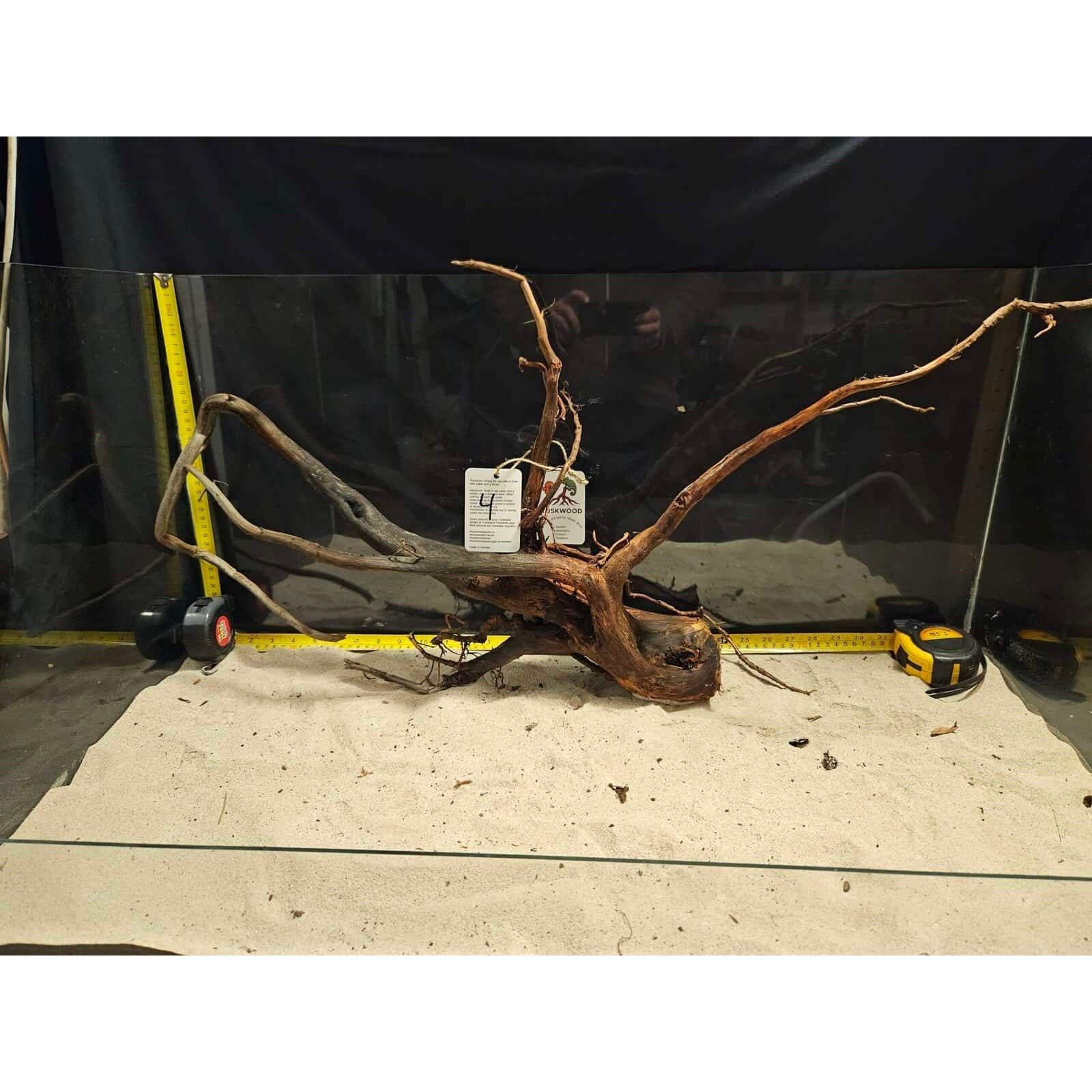 Tuskwood Aquarienwurzel WYSIWYG Echtes Bogwood Einzigartig 52 cm Nr. 4