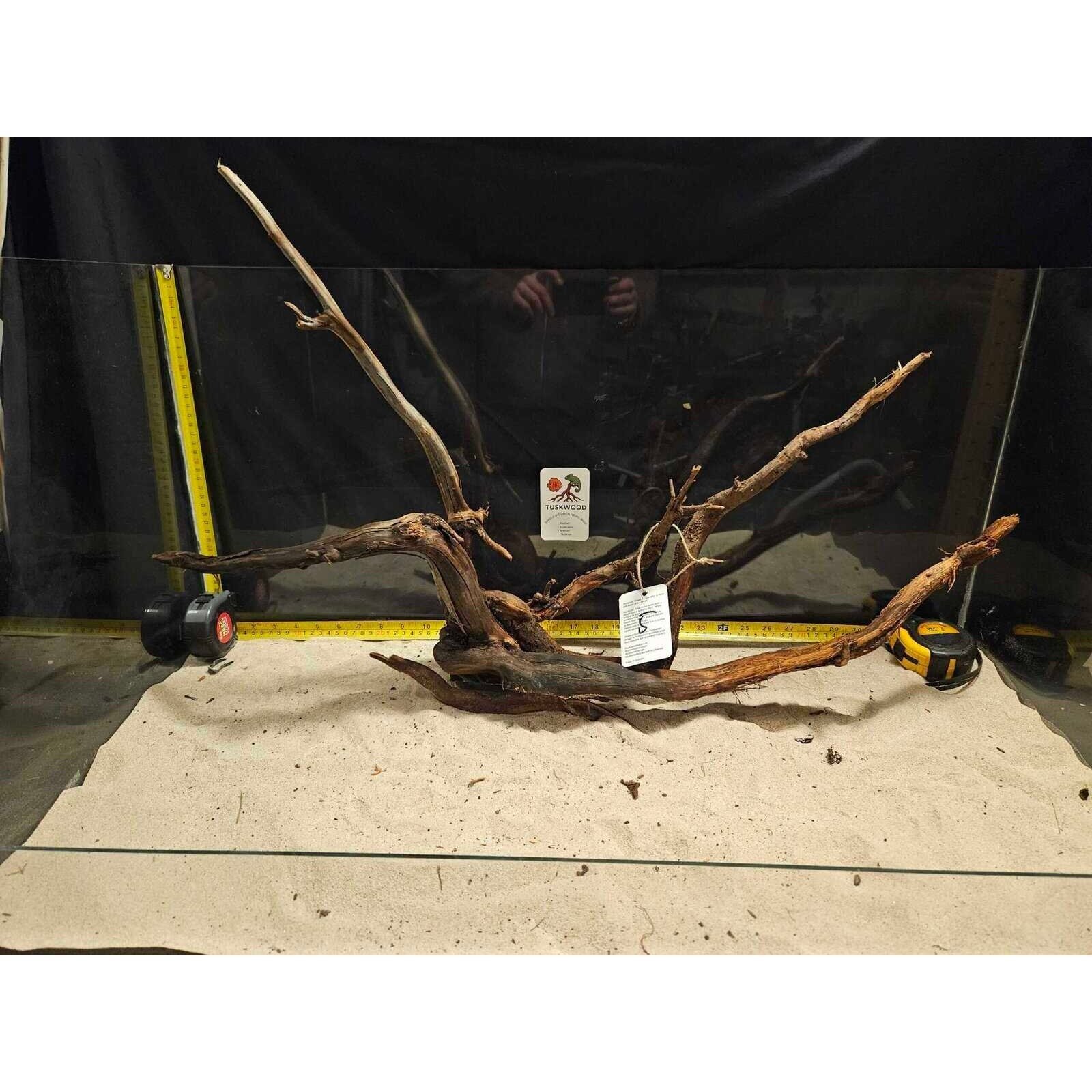 Tuskwood Aquarium-Zierholz WYSIWYG Echtes Bogwood Einzigartig 80 cm Nr. 5