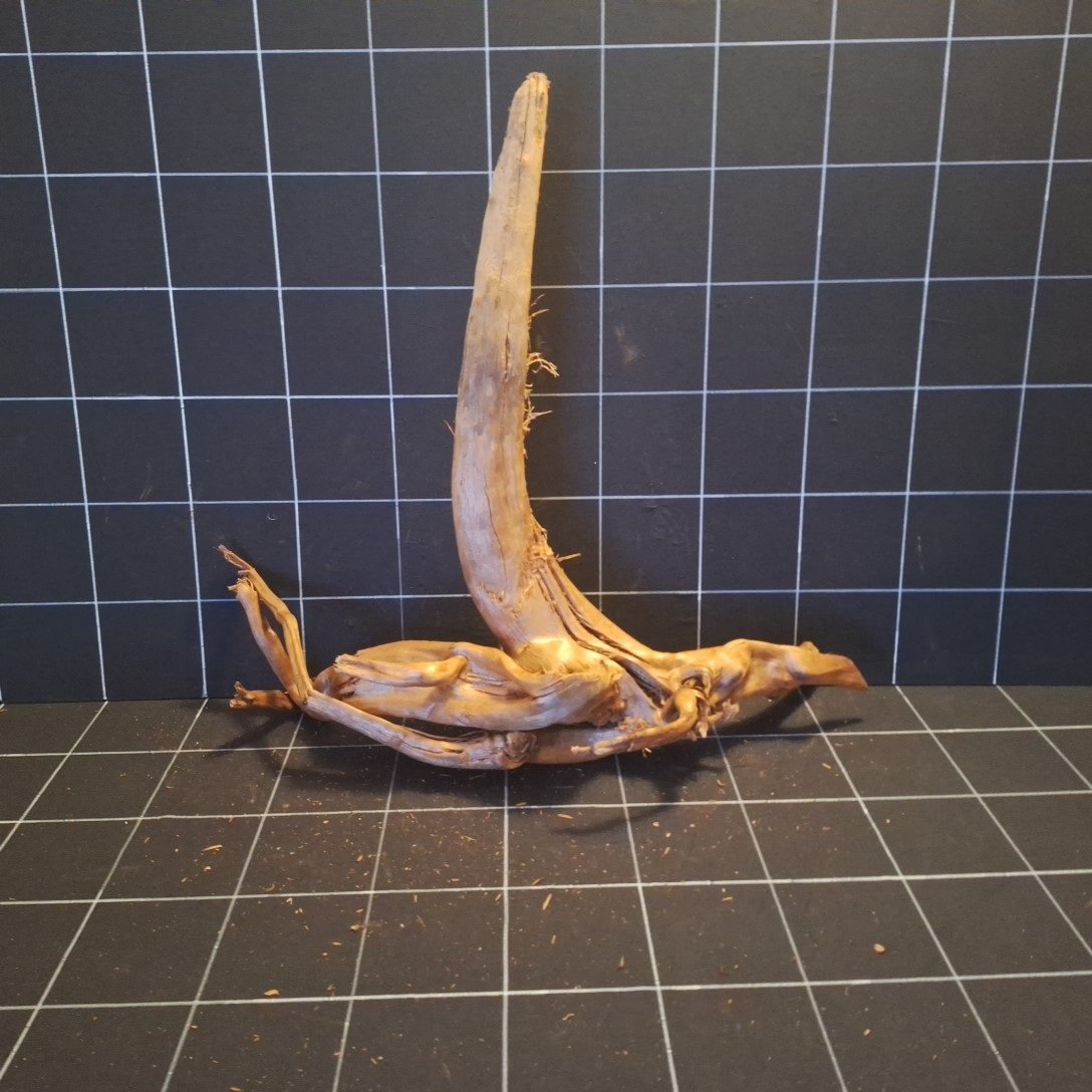 Tuskwood akvarierot i äkta bogwood, 59 cm, P252618