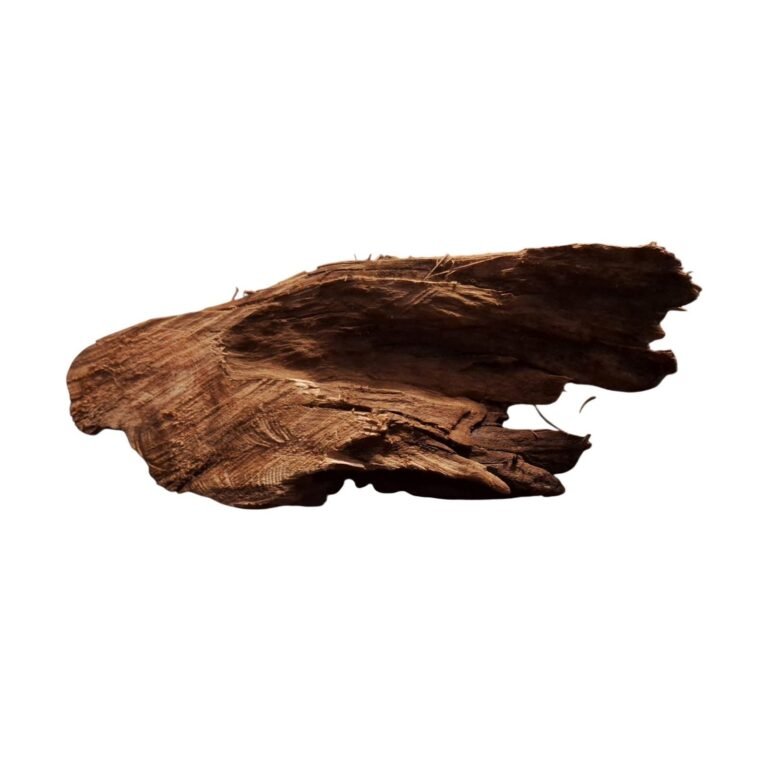 Sold Tuskwood aquarium root P282621, white-background image, approx. 46 cm