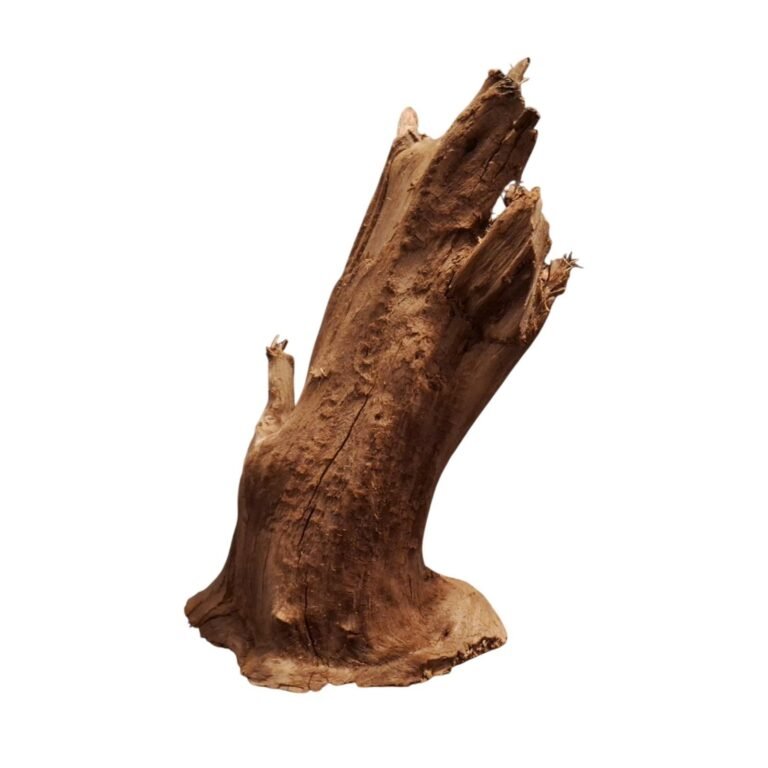 Sold Tuskwood aquarium root P312621, white-background image, approx. 22 cm