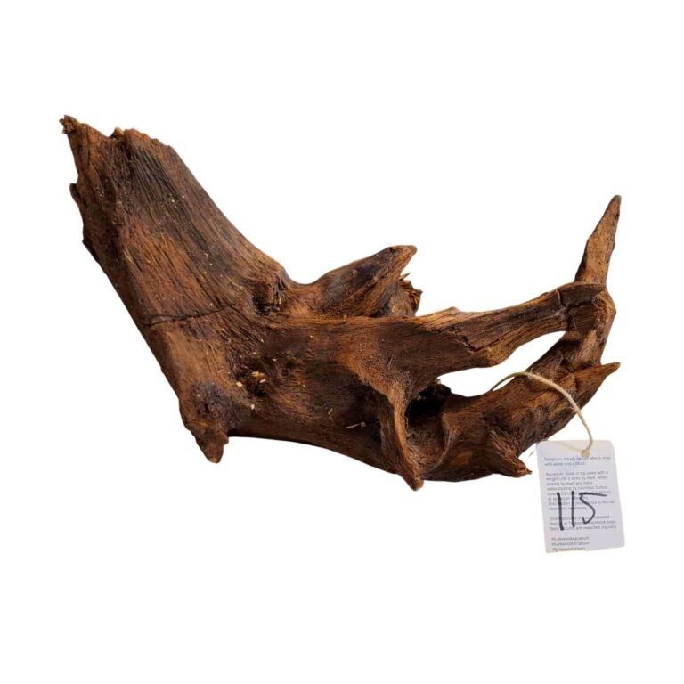 Sold Tuskwood aquarium root nr115A, white-background image, approx. 38 cm