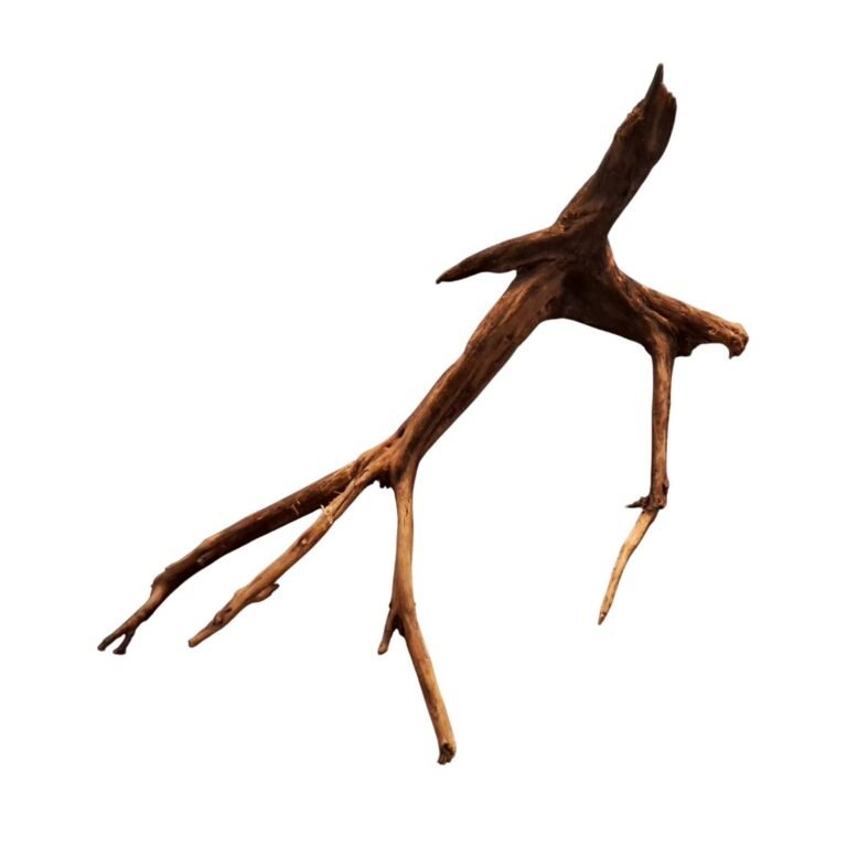 Sold Tuskwood aquarium root P302620, white-background image, approx. 41 cm