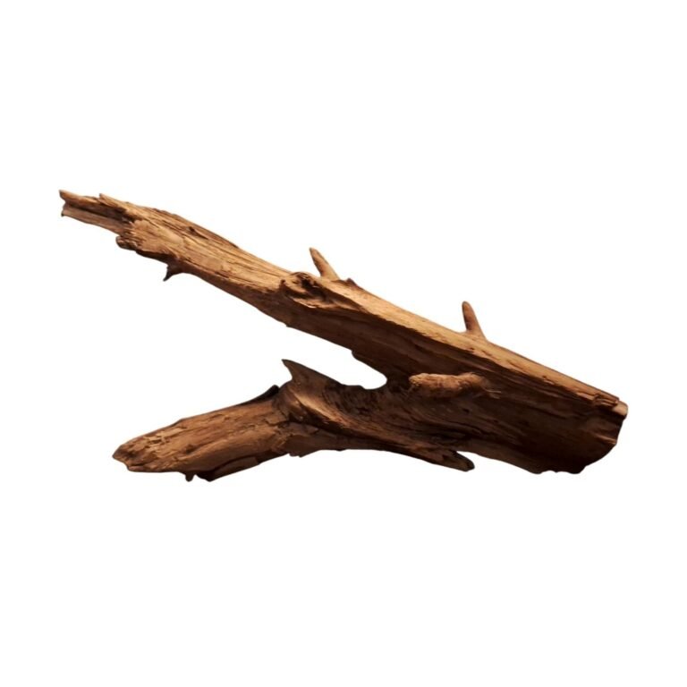 Sold Tuskwood aquarium root P372620, white-background image, approx. 61 cm