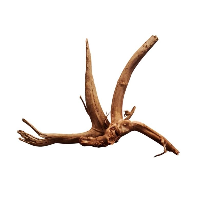 Sold Tuskwood root set S2022622, white-background image, approx. 39 cm