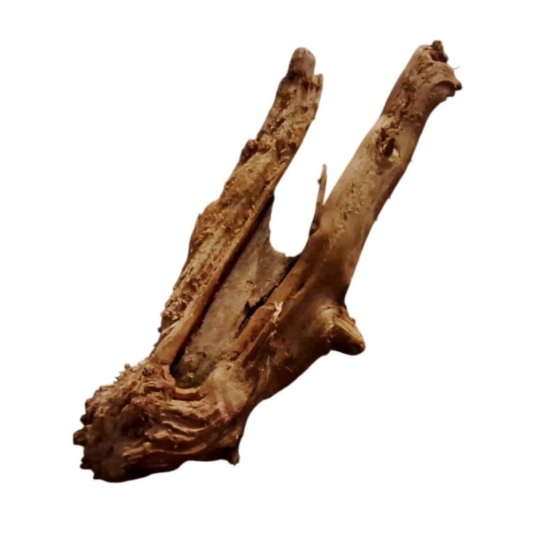 Sold Tuskwood aquarium root P172623, white-background image, approx. 26 cm