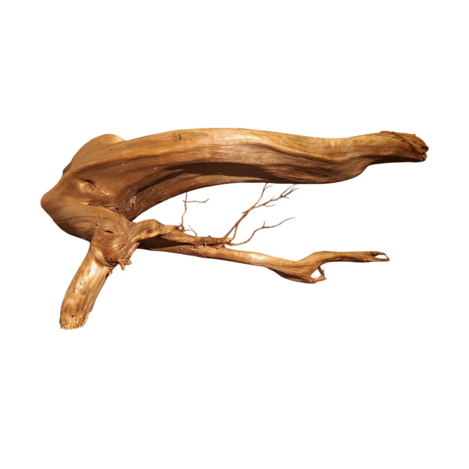 Tuskwood Akvarierot WYSIWYG Äkta Bogwood Unik 61 cm P332623
