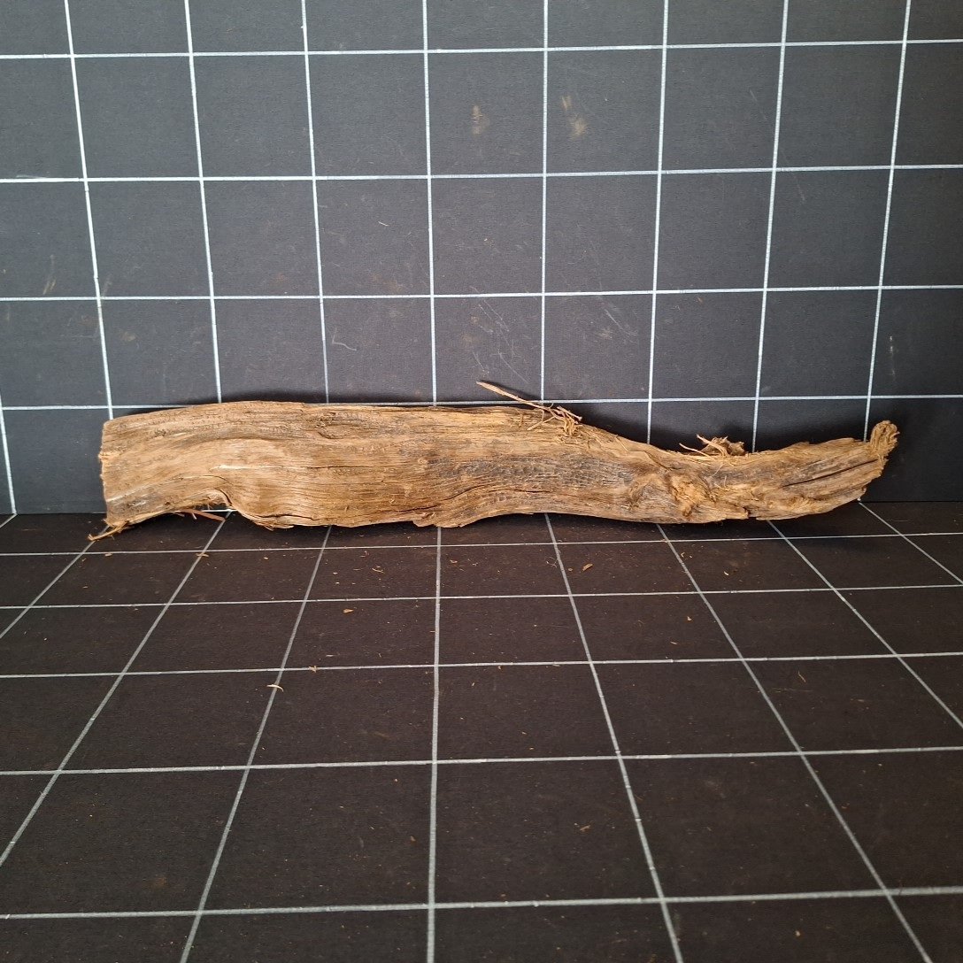 Tuskwood genuine bogwood aquarium root, 60 cm P202619, front view.