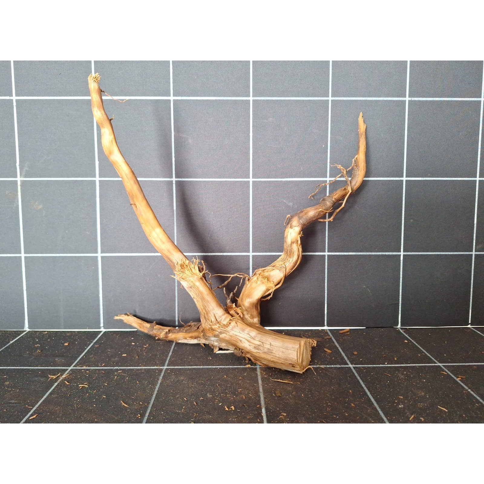 Tuskwood akvarierot i äkta bogwood, 32 cm, P072618