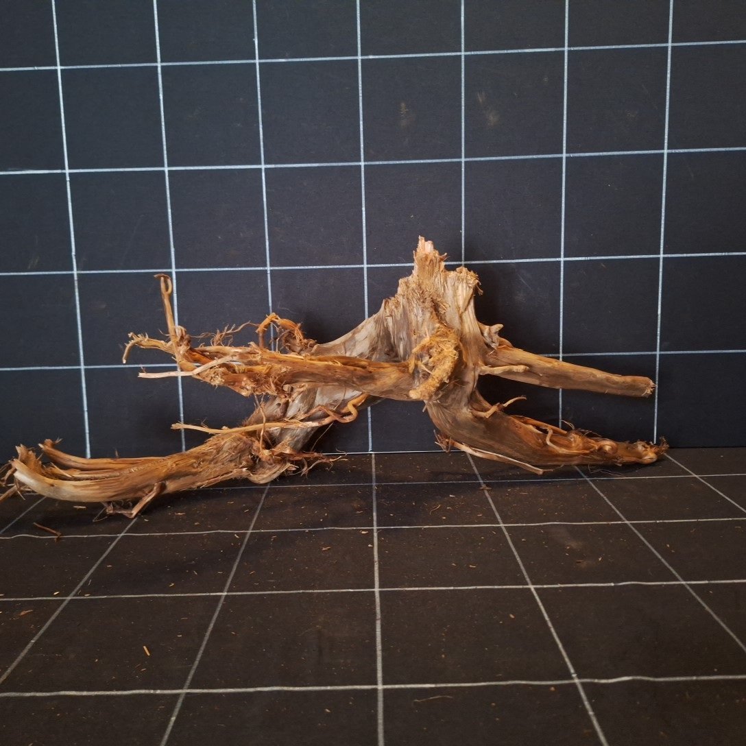 Tuskwood Aquariumwortel WYSIWYG Echt veenhout Uniek 57 cm P052620