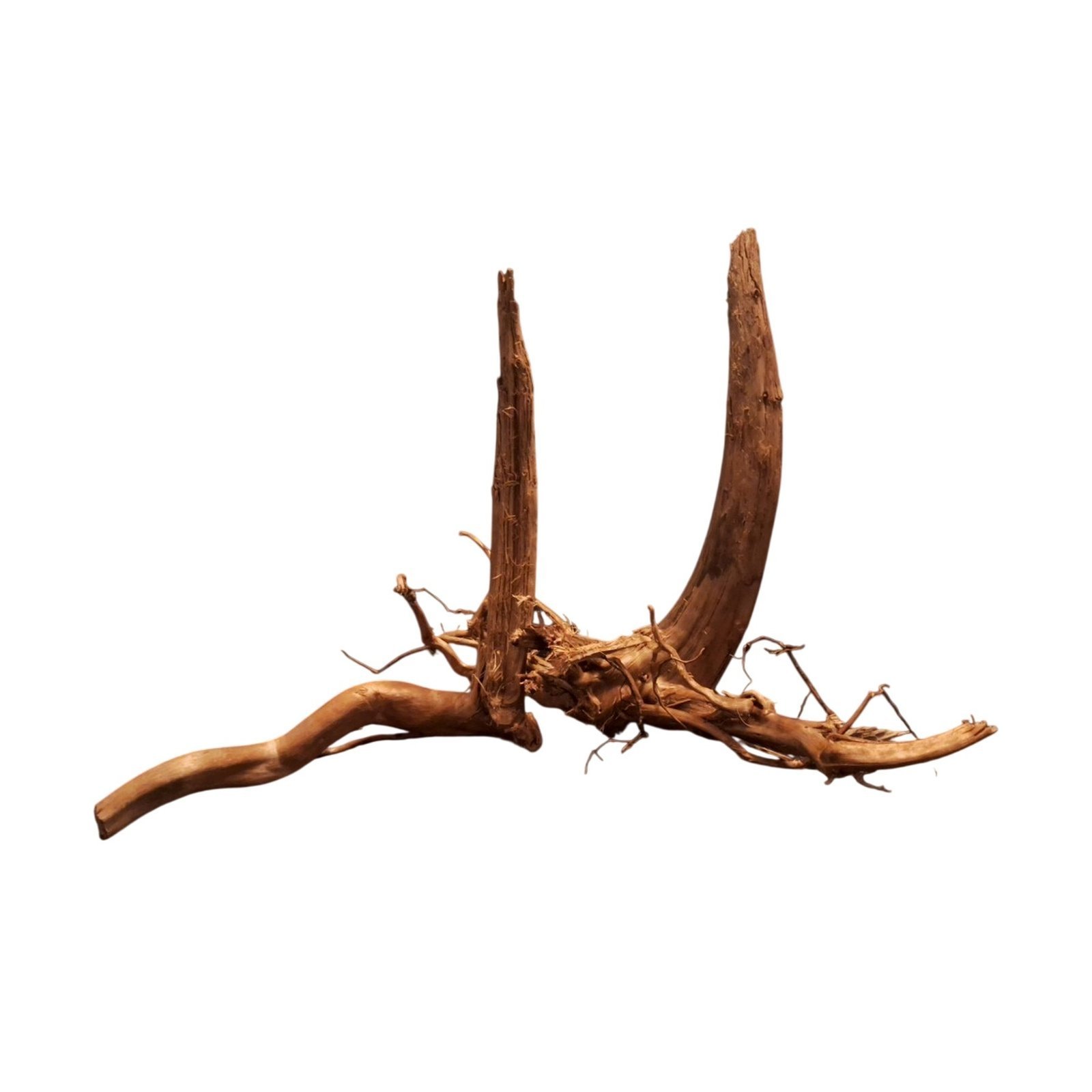 Tuskwood Aquarienwurzel 2er Set WYSIWYG Echtes Bogwood Einzigartig 49 cm S2342620