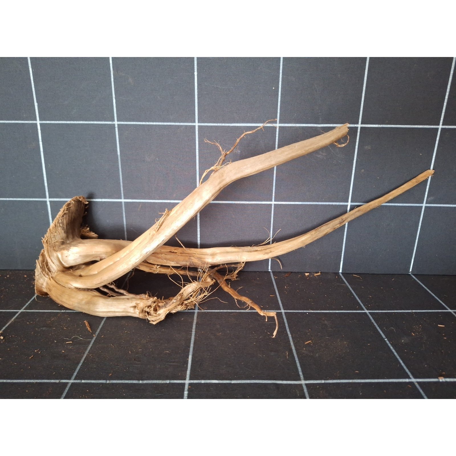 Tuskwood akvarierot i äkta bogwood, 50 cm, P102618