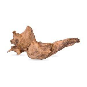 Tuskwood Aquarienwurzel WYSIWYG Echtes Bogwood Einzigartig 53 cm 062638