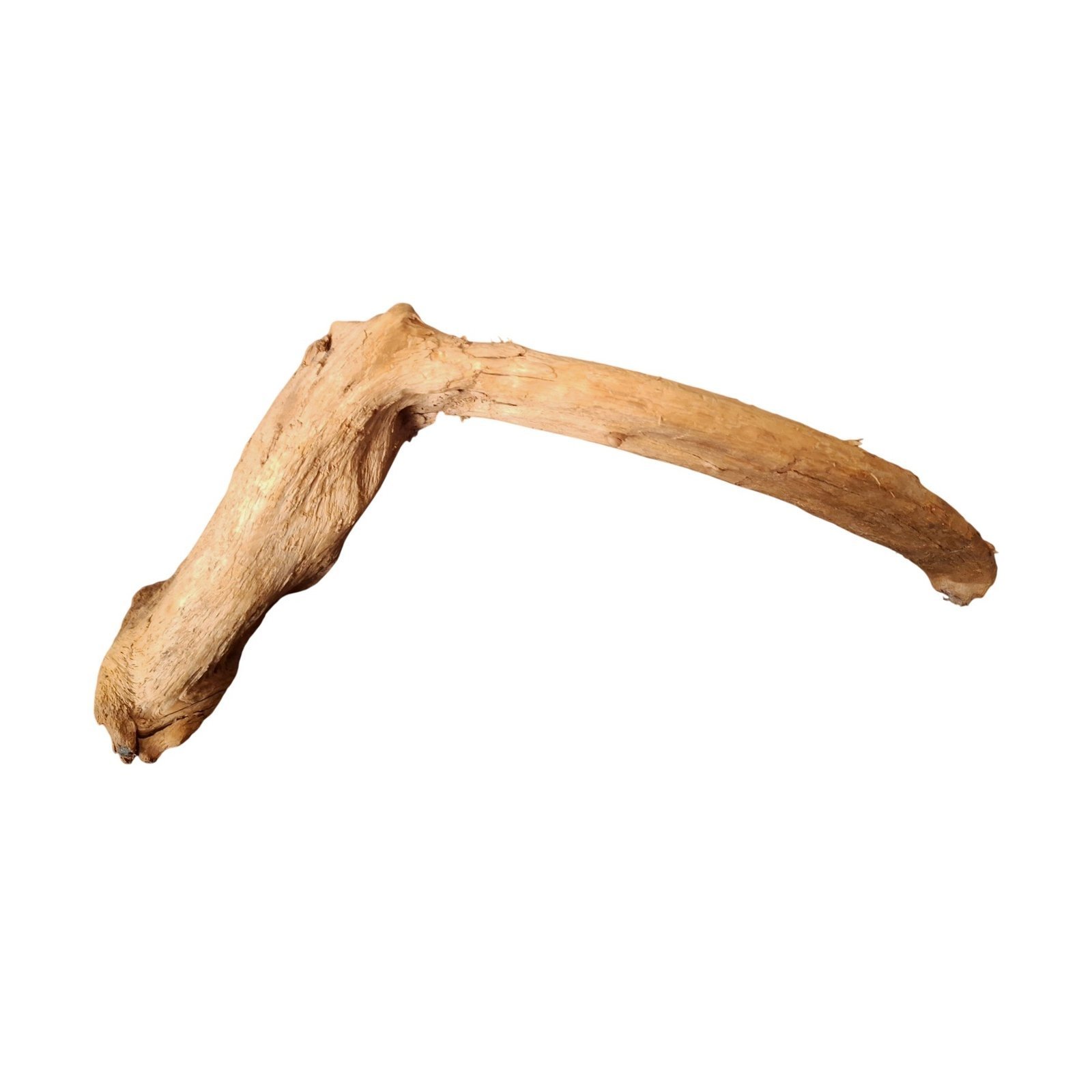 Tuskwood akvarierot i äkta bogwood, 58 cm, P182618