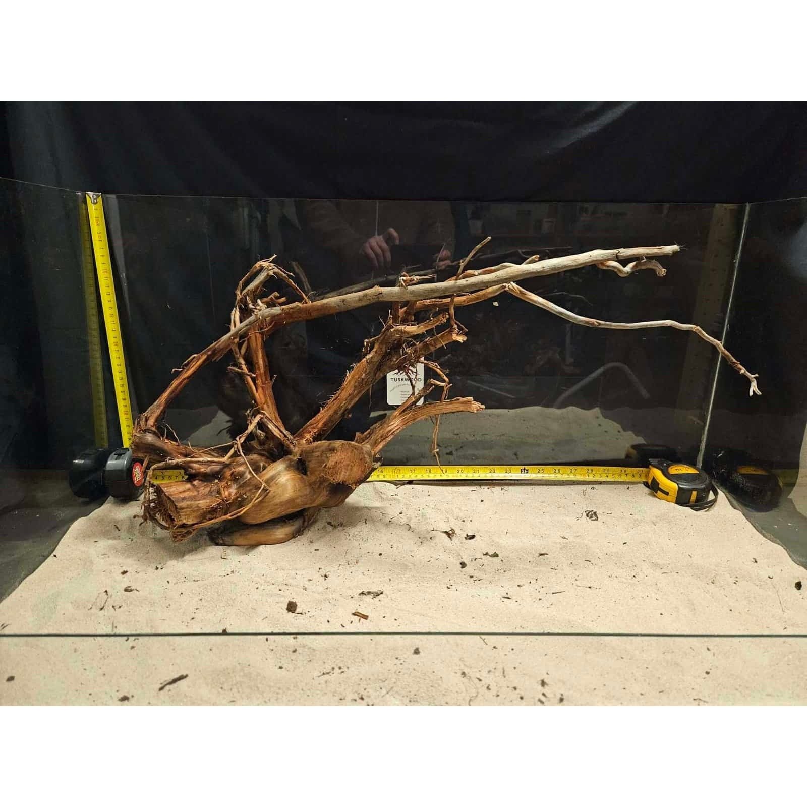 Tuskwood Aquariumrot WYSIWYG Echt Bogwood Uniek 55 cm nr. 11A