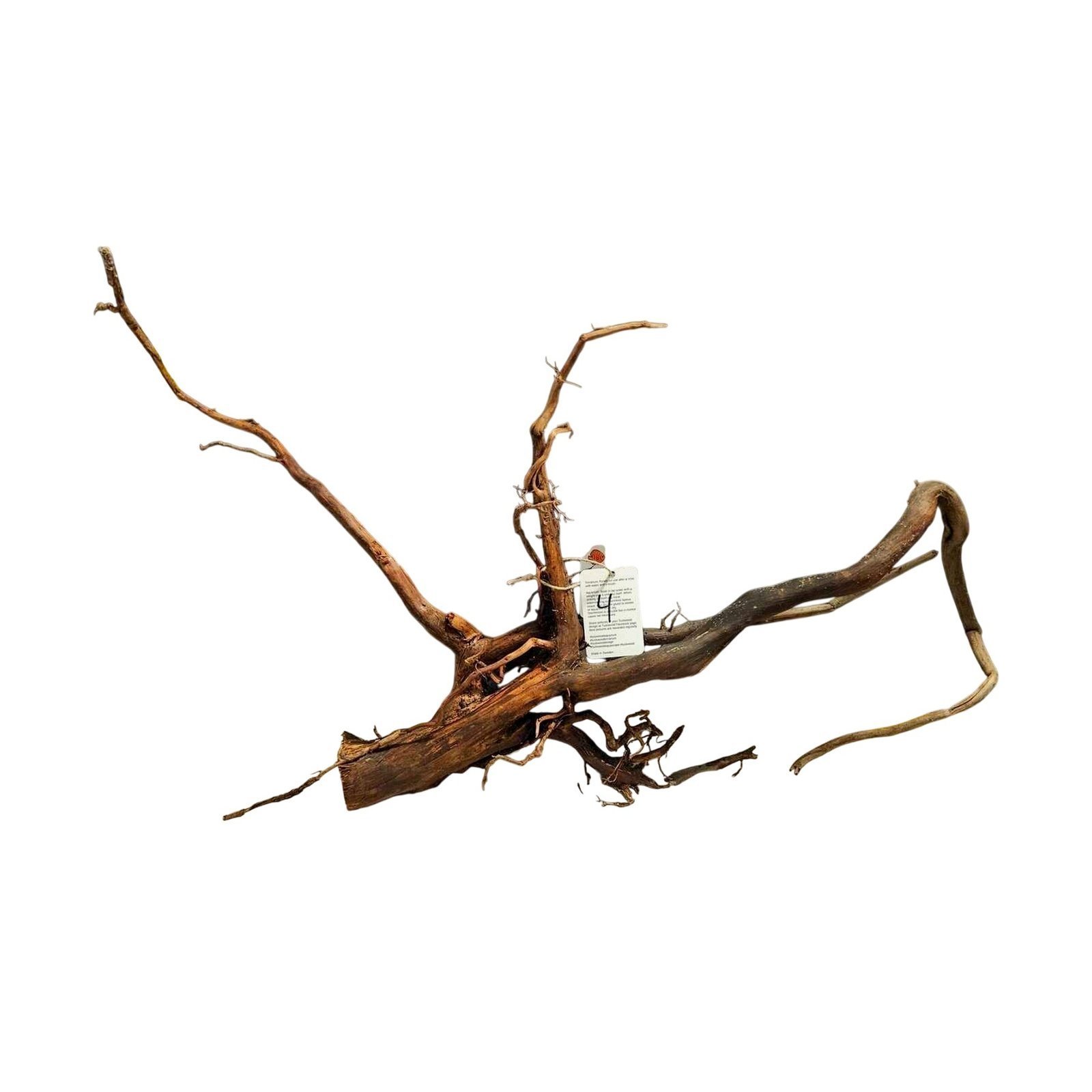 Tuskwood Aquarienwurzel WYSIWYG Echtes Bogwood Einzigartig 52 cm Nr. 4