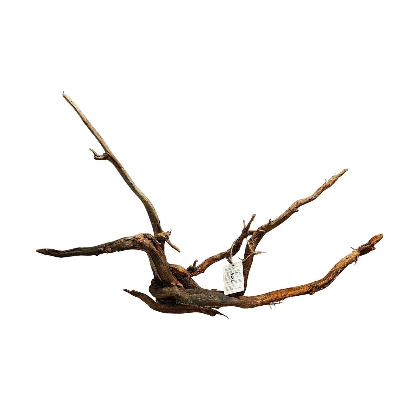 Tuskwood Aquarium-Zierholz WYSIWYG Echtes Bogwood Einzigartig 80 cm Nr. 5