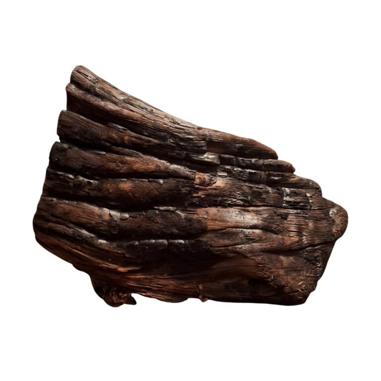 Sold Tuskwood aquarium root P072622, white-background image, approx. 40 cm