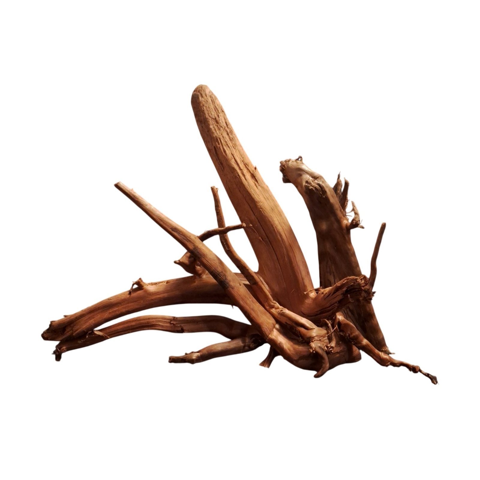 Tuskwood Akvarierot Set om 4 delar WYSIWYG Äkta Bogwood Unik 48 cm S4192622