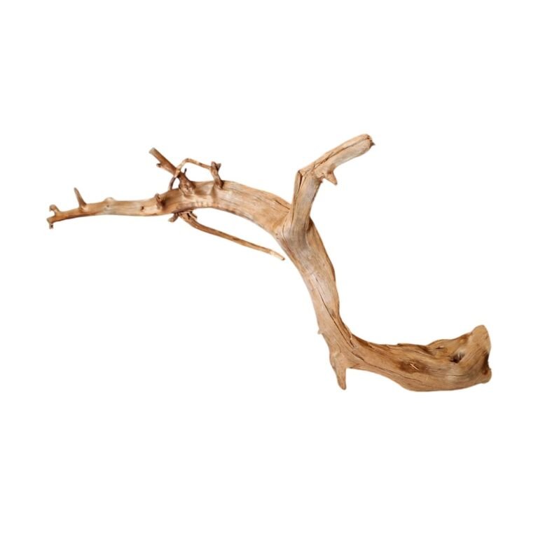 Sold Tuskwood aquarium root P022620, white-background image, approx. 67 cm
