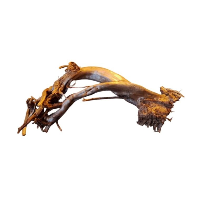 Sold Tuskwood aquarium root P172620, white-background image, approx. 37 cm