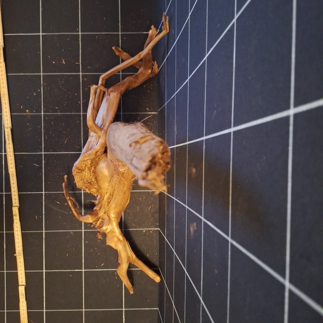 Tuskwood akvarierot i äkta bogwood, 59 cm, P252618