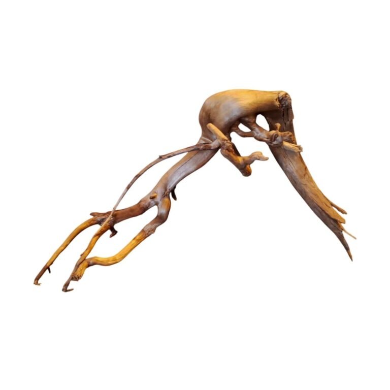 Sold Tuskwood aquarium root P222620, white-background image, approx. 38 cm