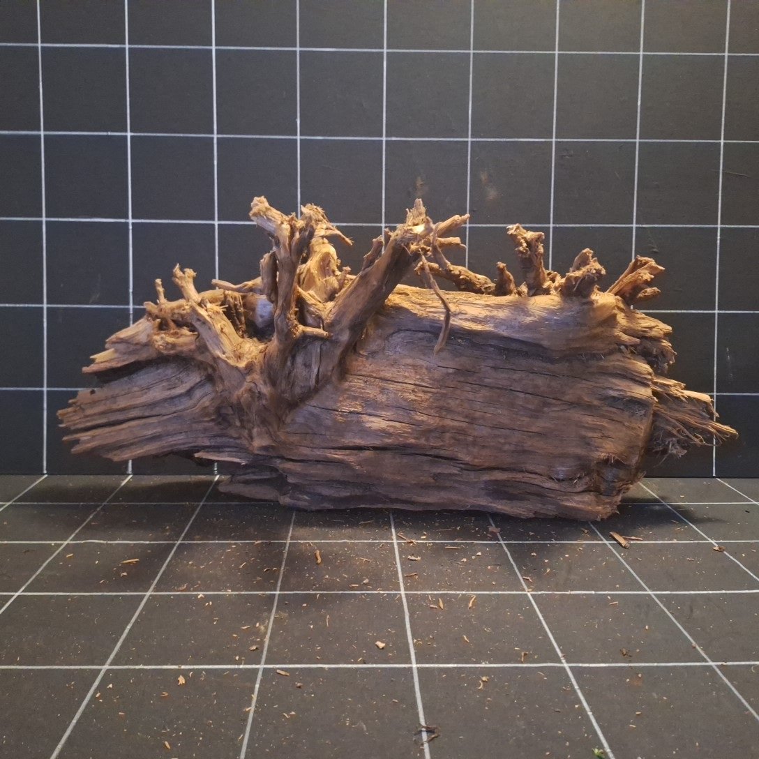 Tuskwood akvarierot i äkta bogwood, 67 cm, P272618
