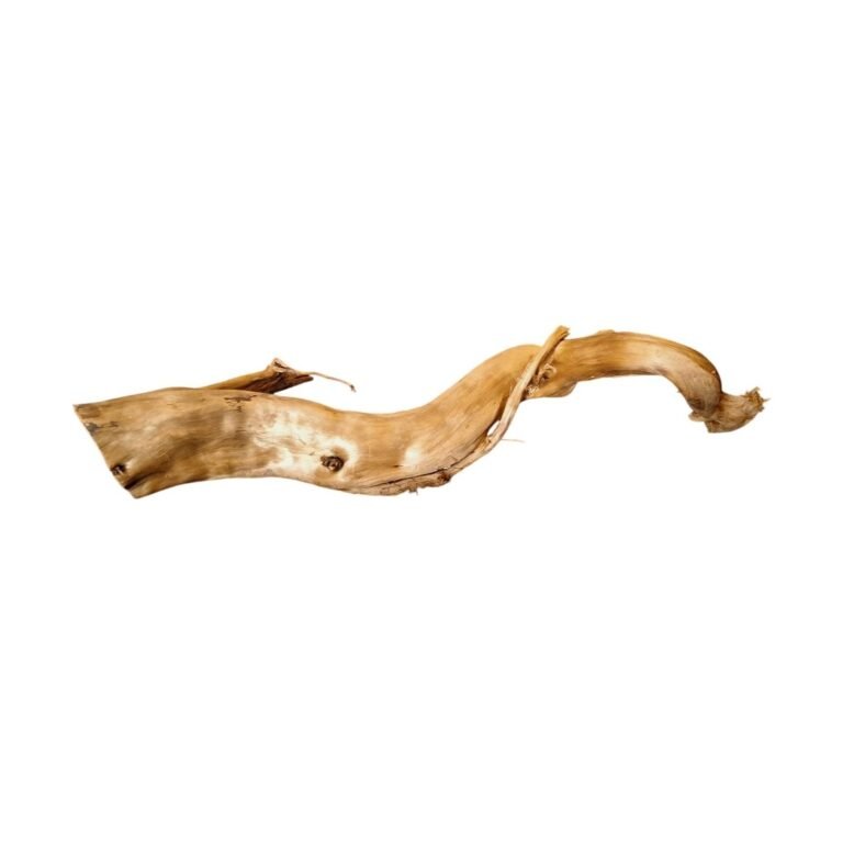 Sold Tuskwood aquarium root P122619, white-background image, approx. 57 cm