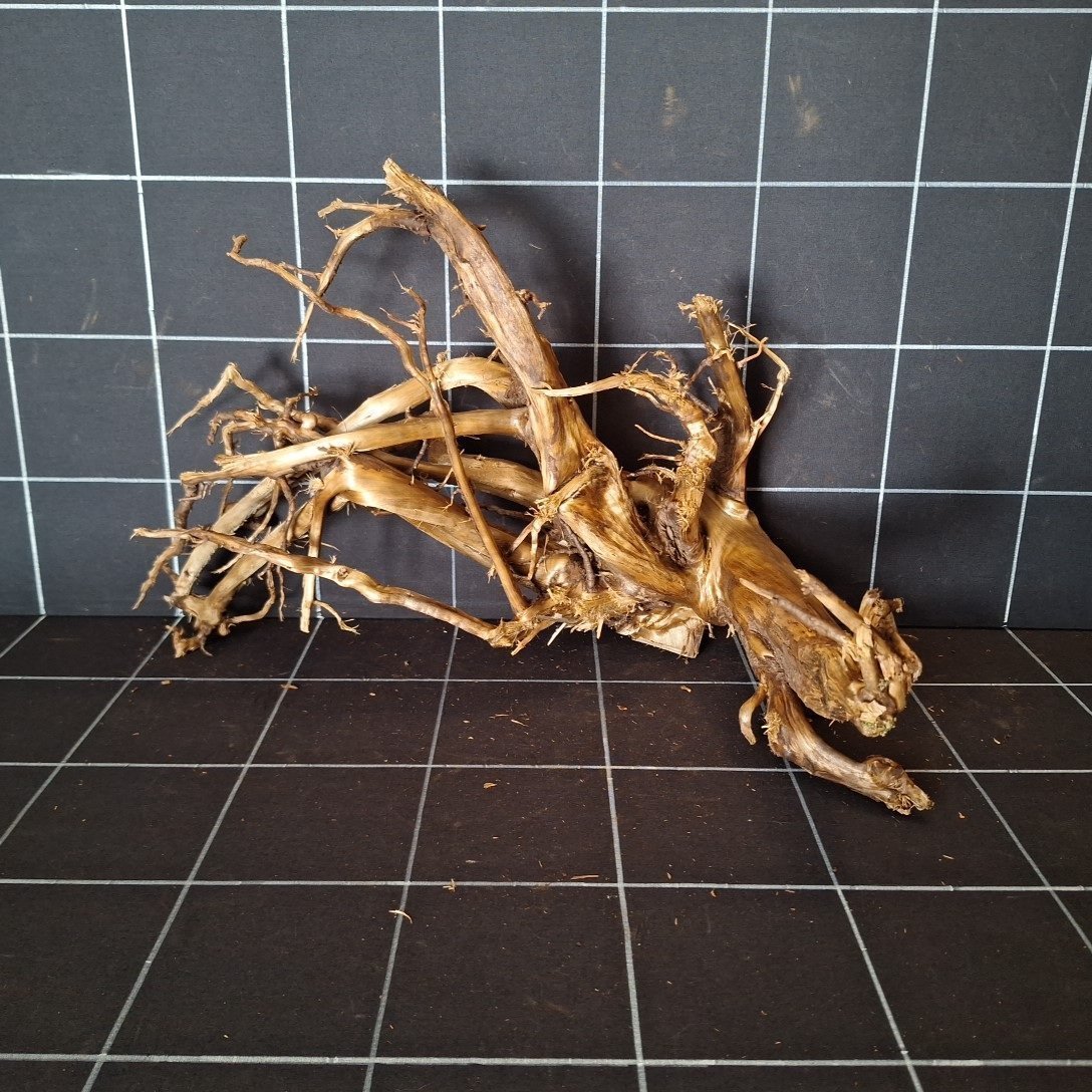 Tuskwood akvarierot äkta bogwood 41 cm P232619 sedd framifrån