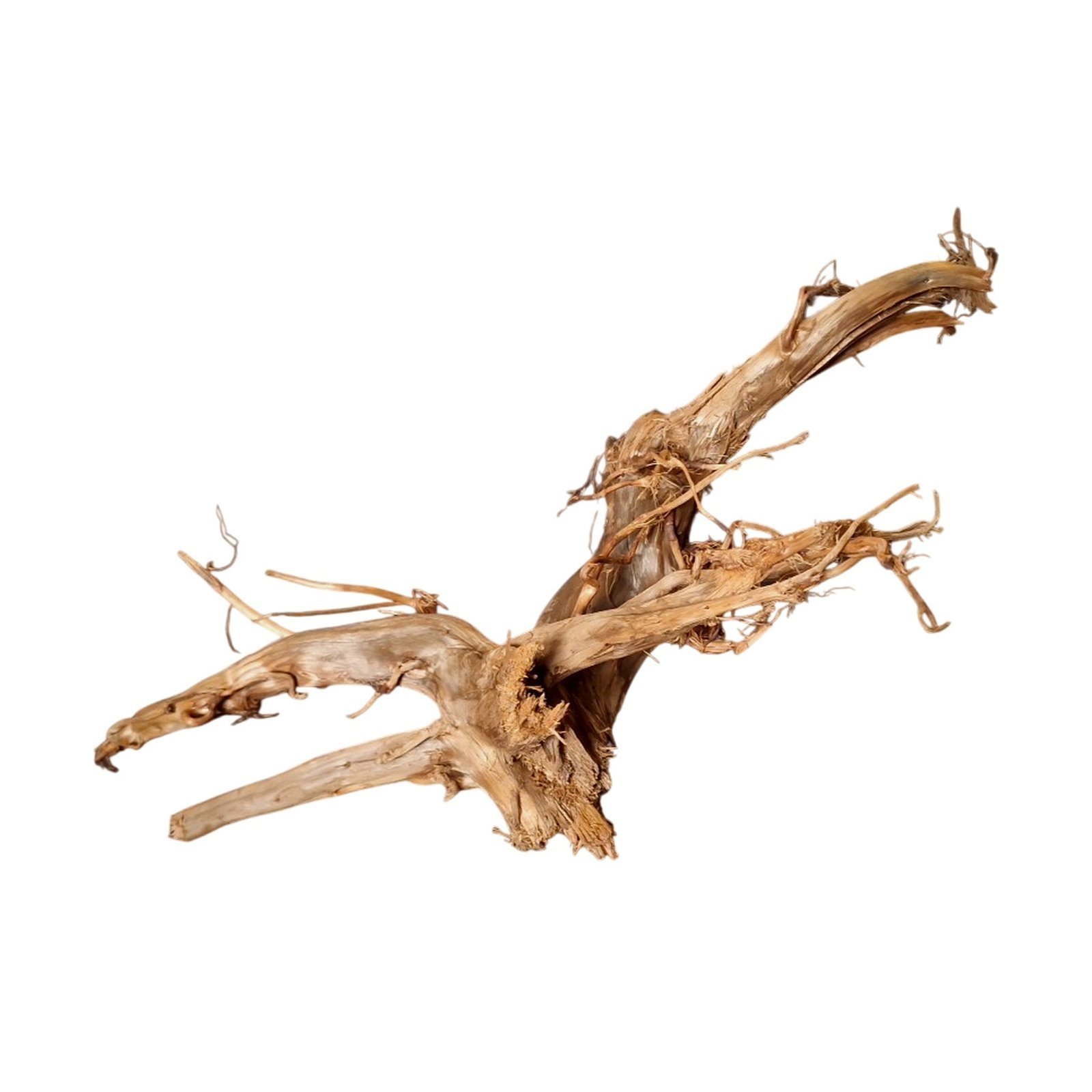 Tuskwood Aquariumwortel WYSIWYG Echt veenhout Uniek 57 cm P052620