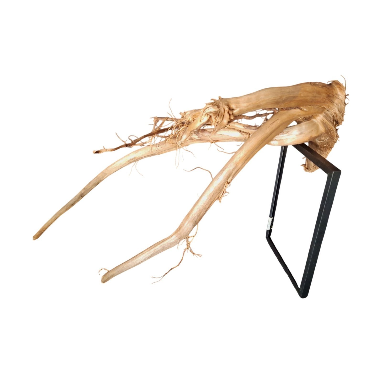 Tuskwood akvarierot i äkta bogwood, 50 cm, P102618